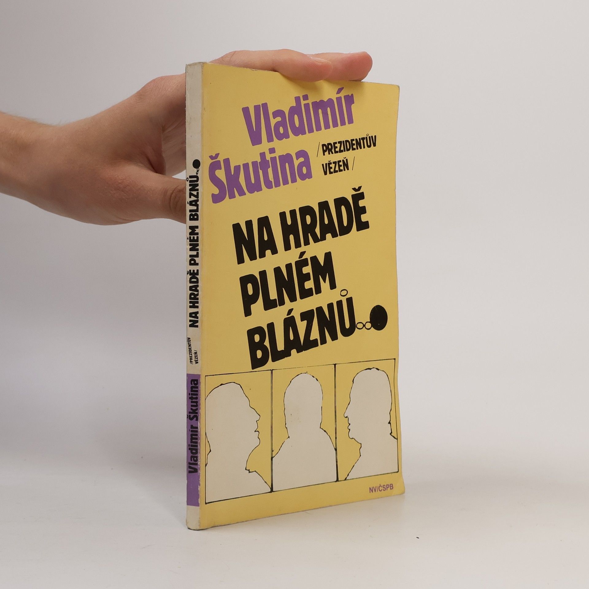 Vladimír Škutina Na hradě plném bláznů