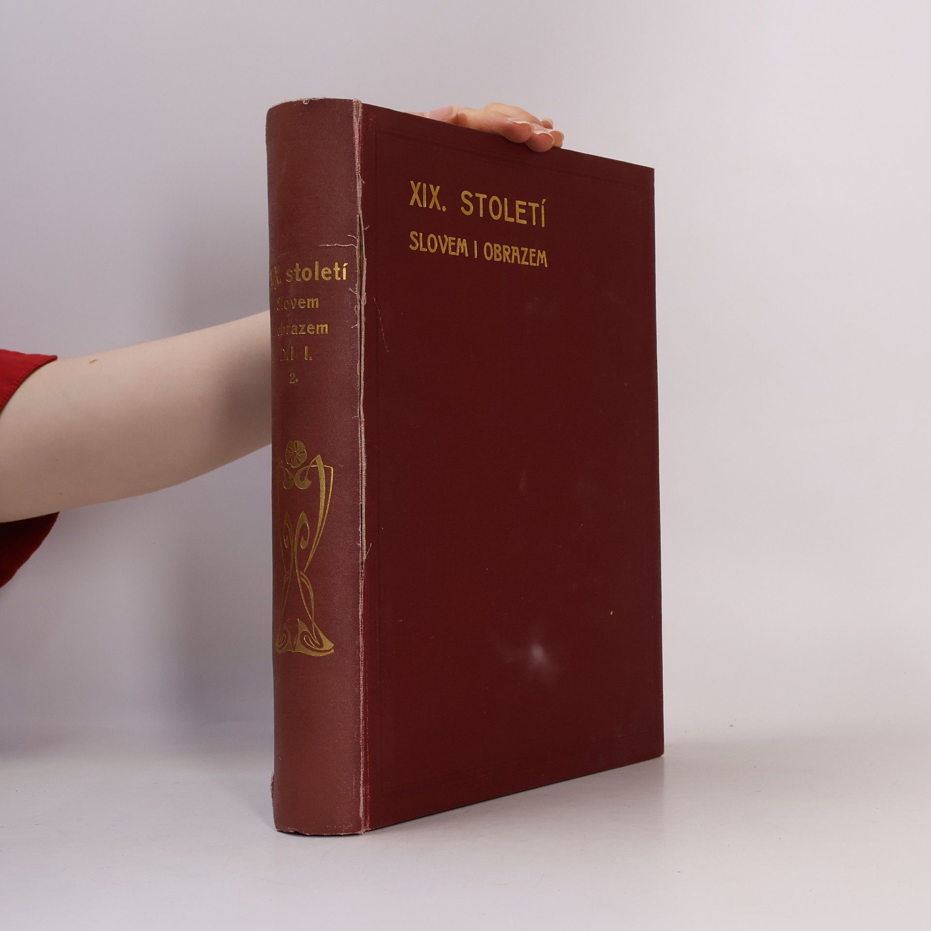 Collectif d'auteurs Devatenácté století slovem i obrazem Díl I. Svazek II