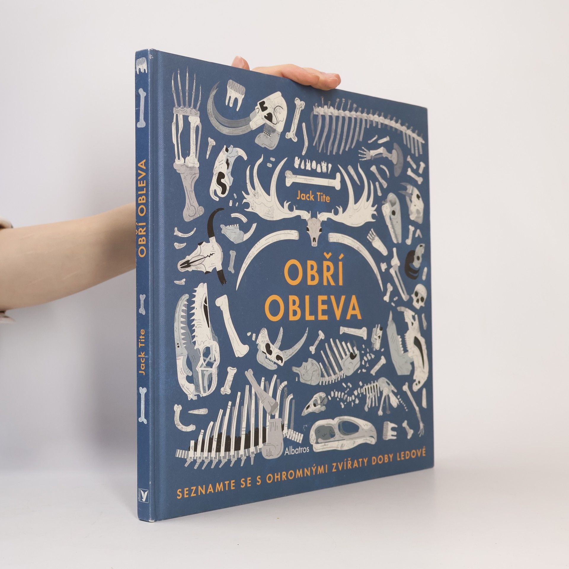 Jack Tite Obří obleva
