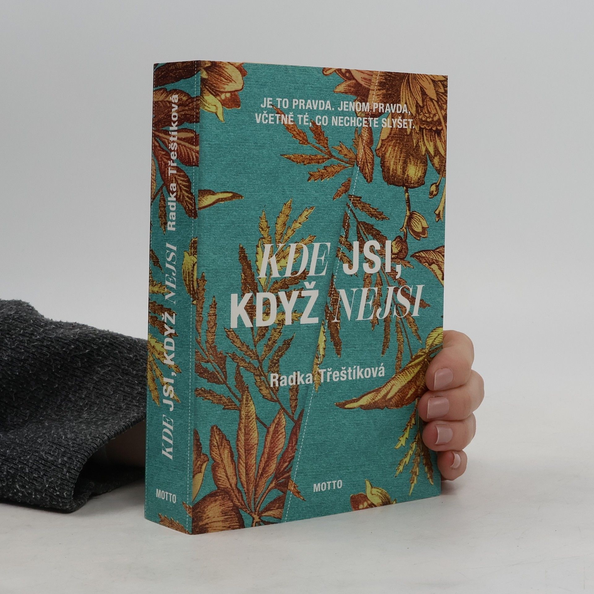 Radka Třeštíková Kde jsi, když nejsi