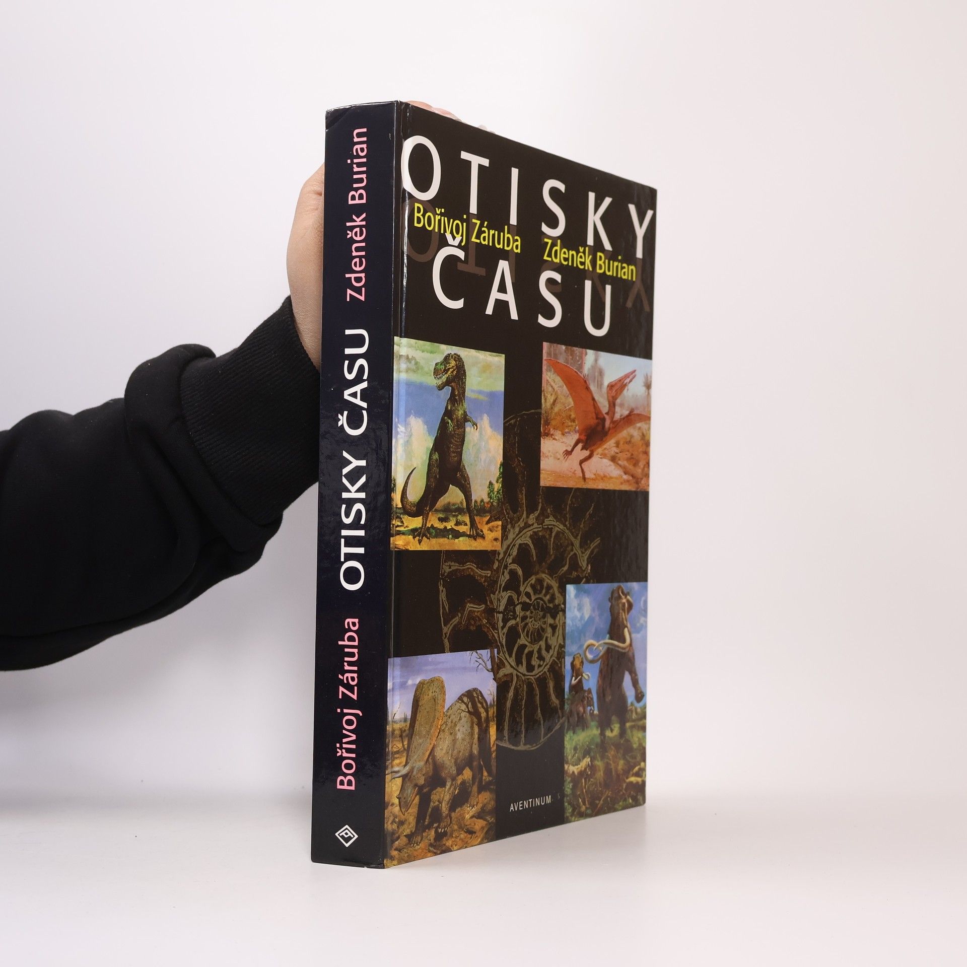 Bořivoj Záruba Otisky času