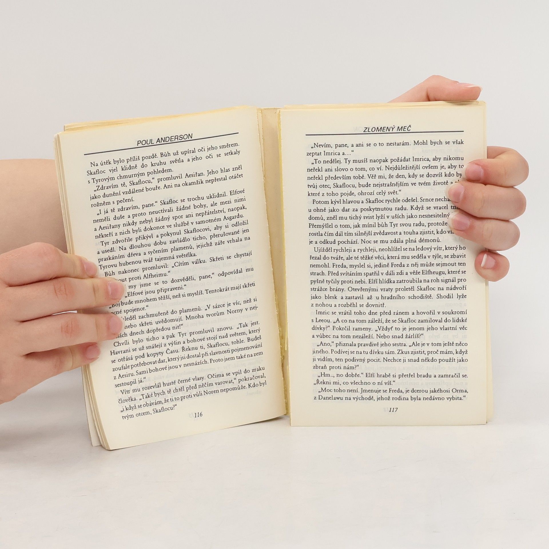 Poul Anderson Zlomený meč