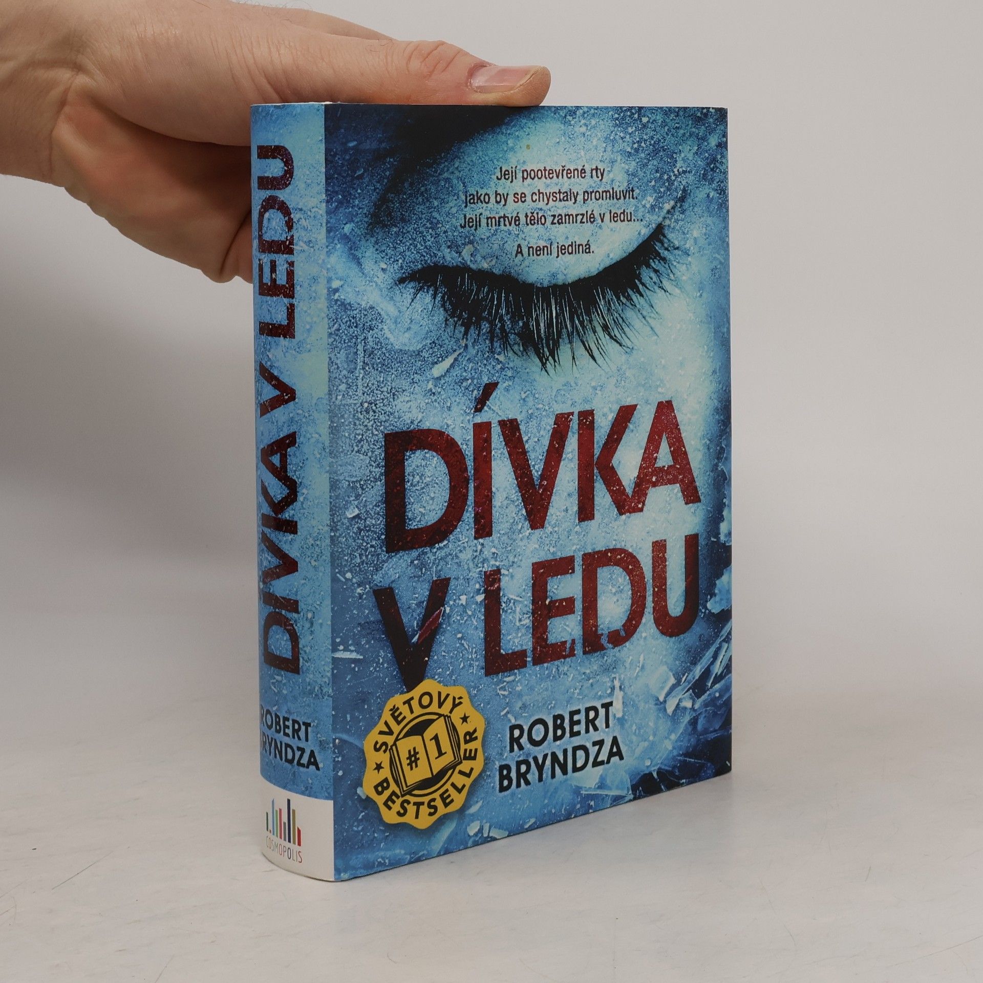 Robert Bryndza Dívka v ledu