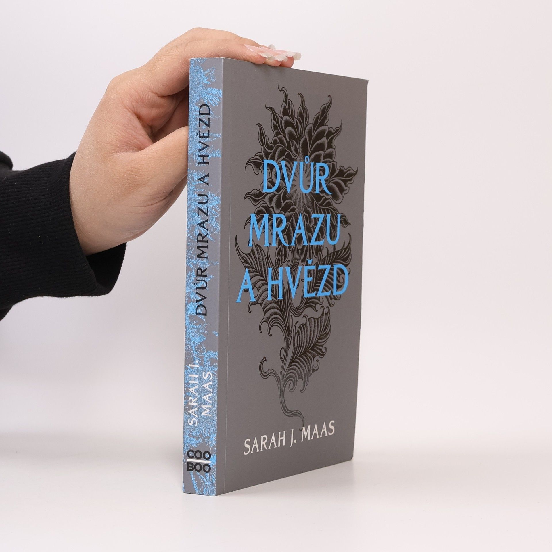 Sarah J. Maas Dvůr mrazu a hvězd