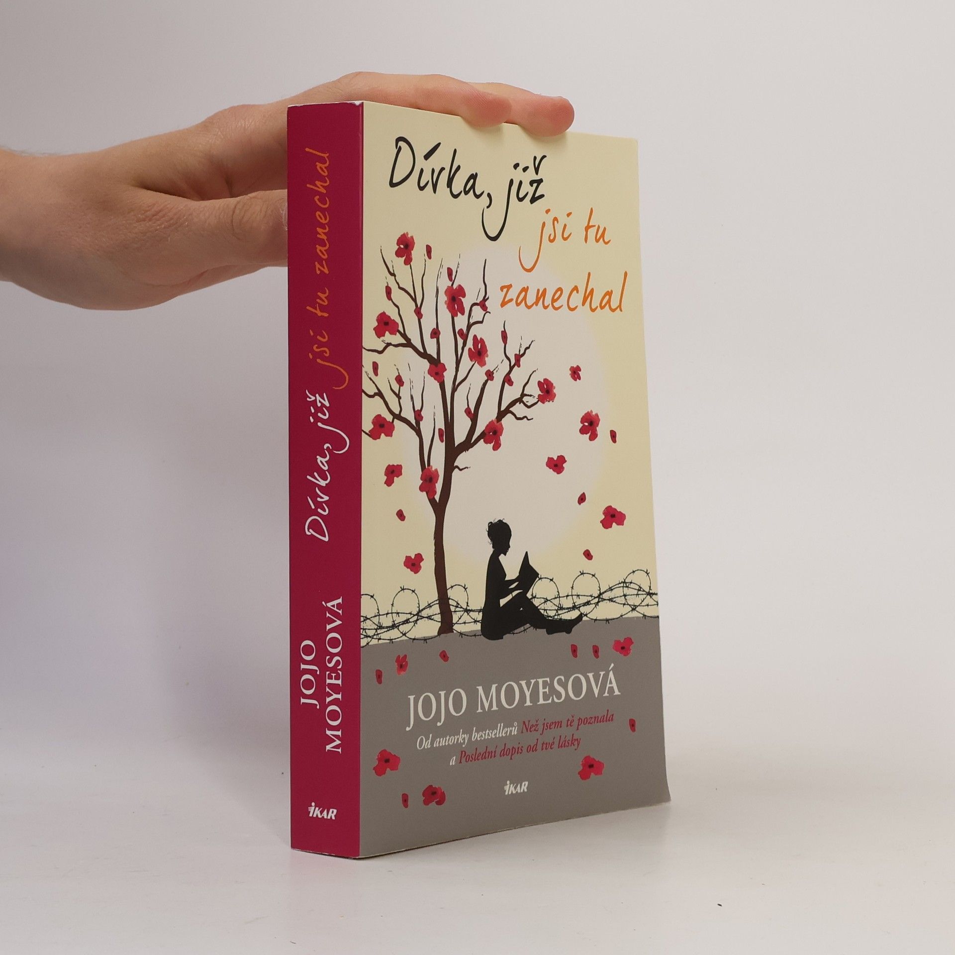 Jojo Moyes Dívka, již jsi tu zanechal