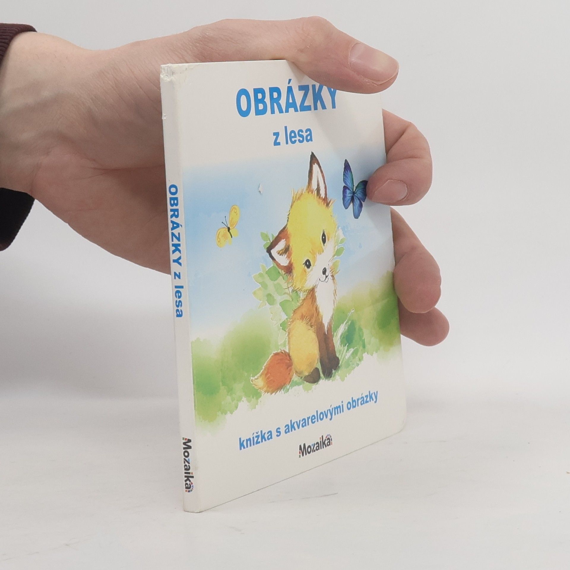 Autores varios Obrázky z lesa