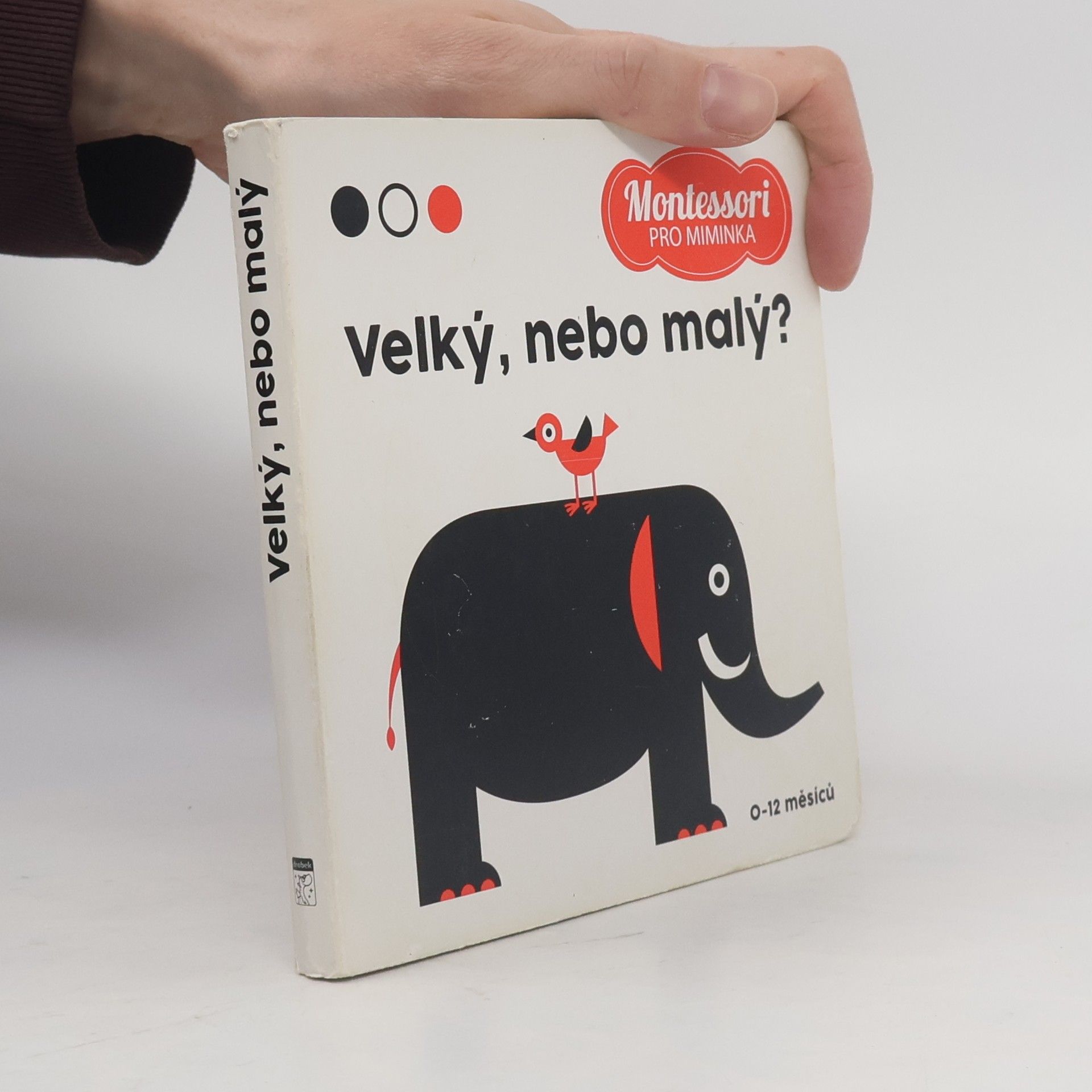 Chiara Piroddi Velký, nebo malý?