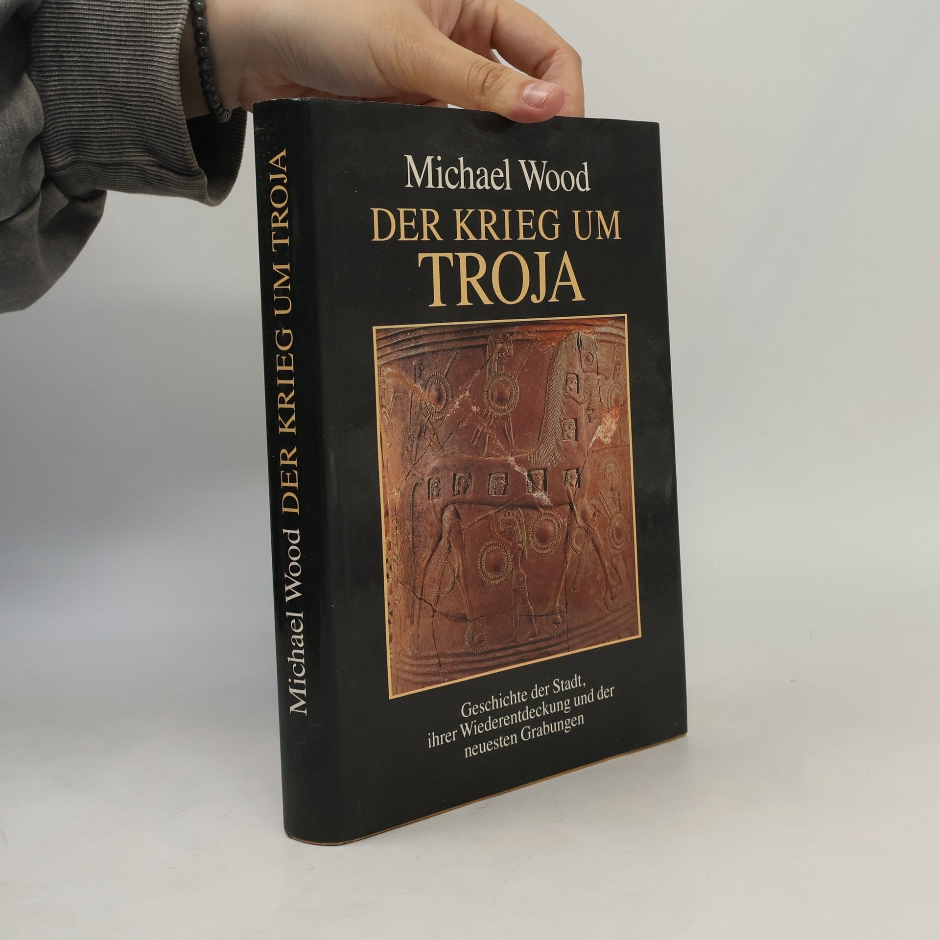 Michael Wood Der Krieg um Troja