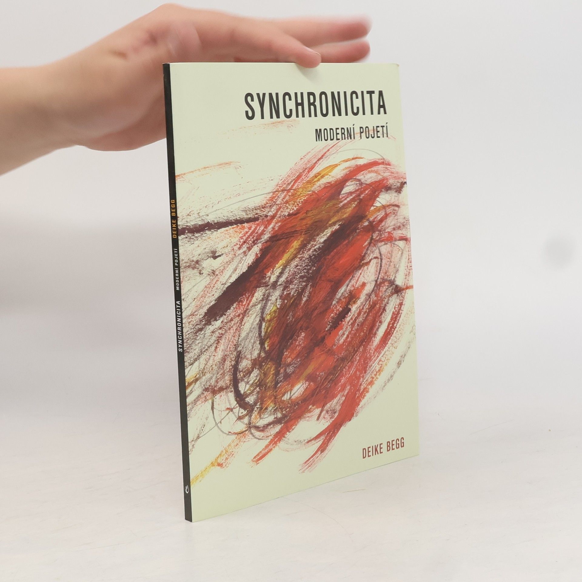 Deike Begg Synchonicita : moderní pojetí