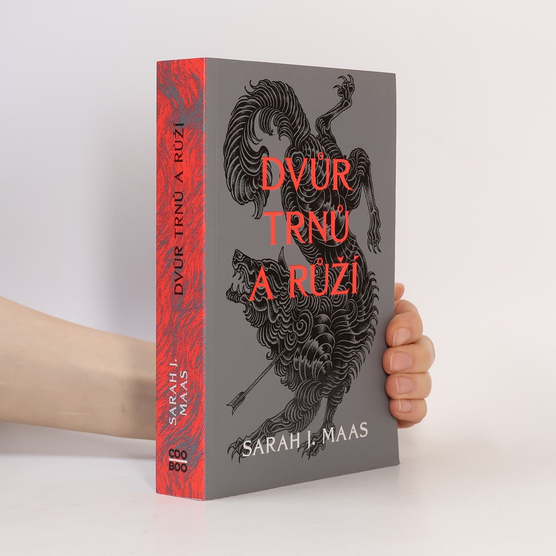 Sarah J. Maas Dvůr trnů a růží