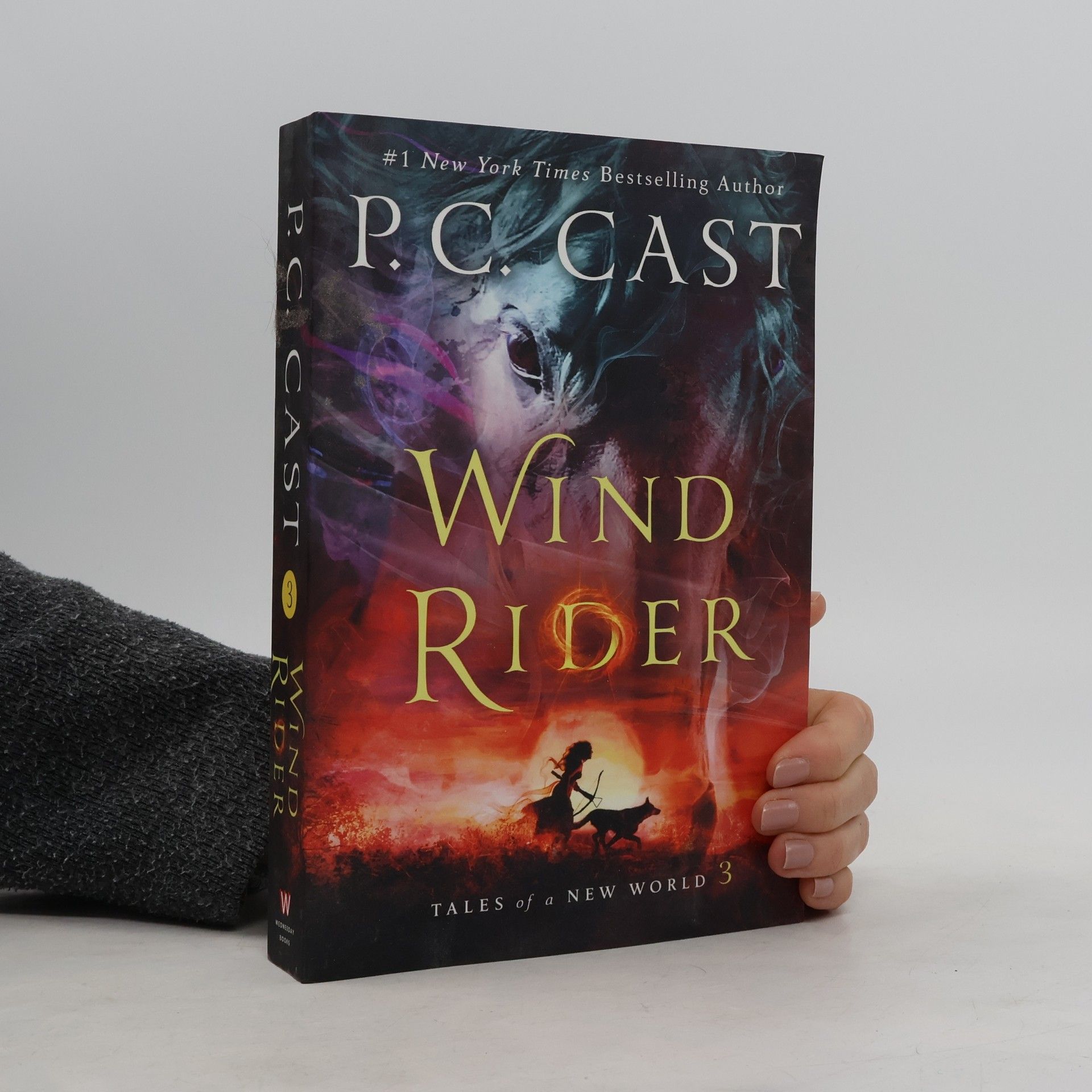 Phyllis Christine Cast Wind Rider: Tales of a New World