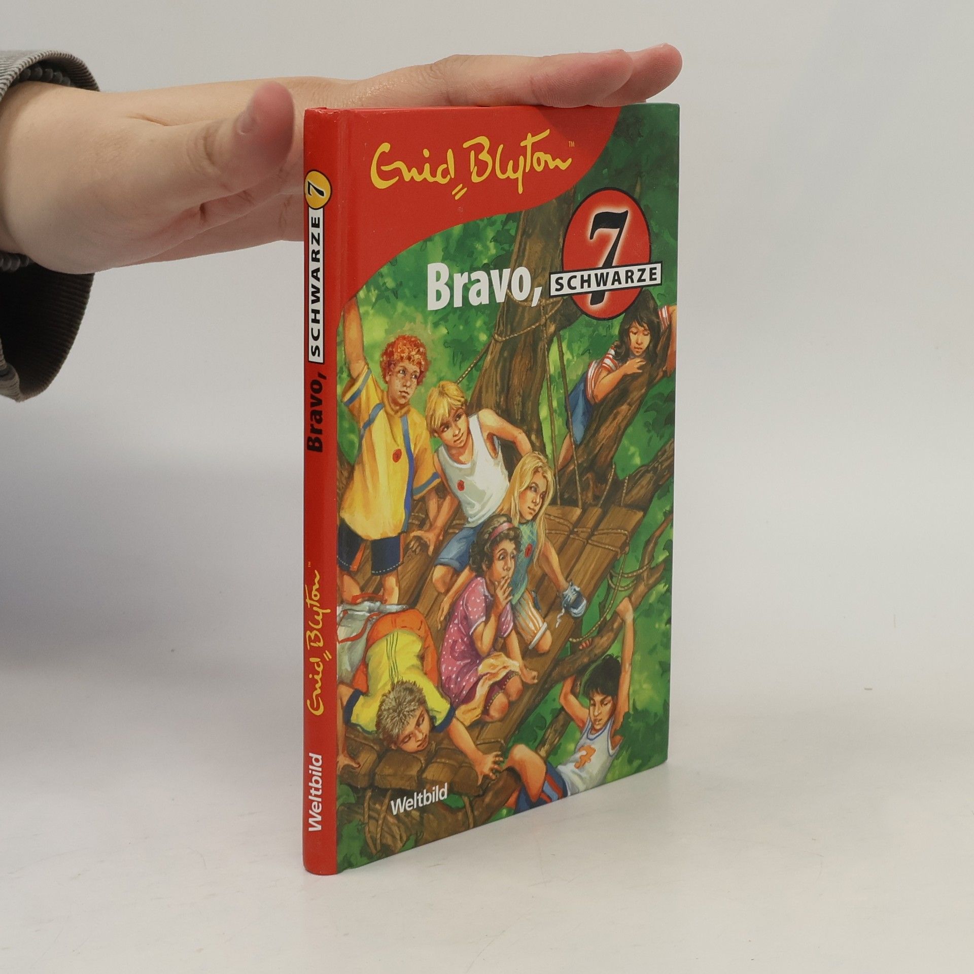 Enid Blyton Bravo, Schwarze 7