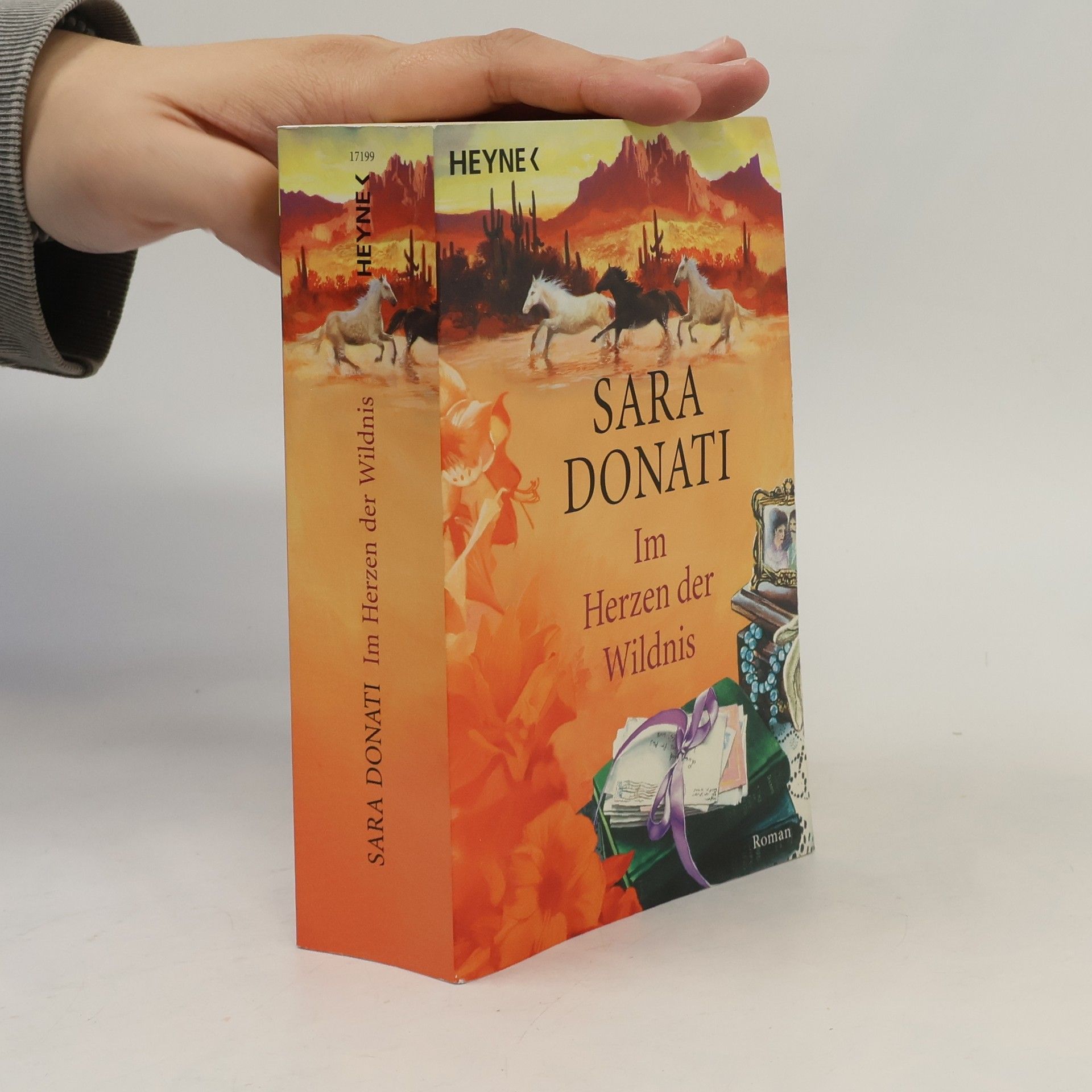 Sara Donati Im Herzen der Wildnis