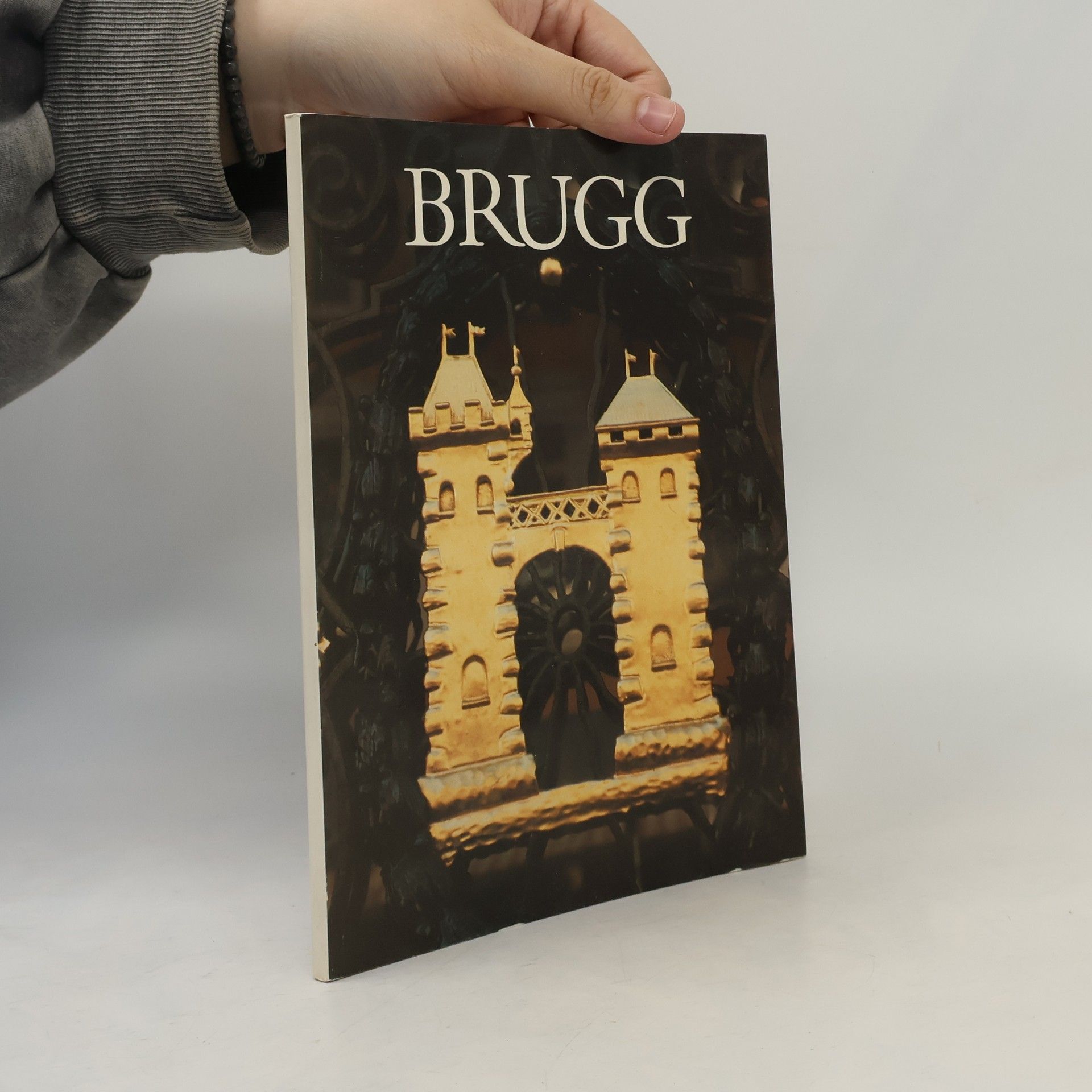 Autorenkollektiv Brugg