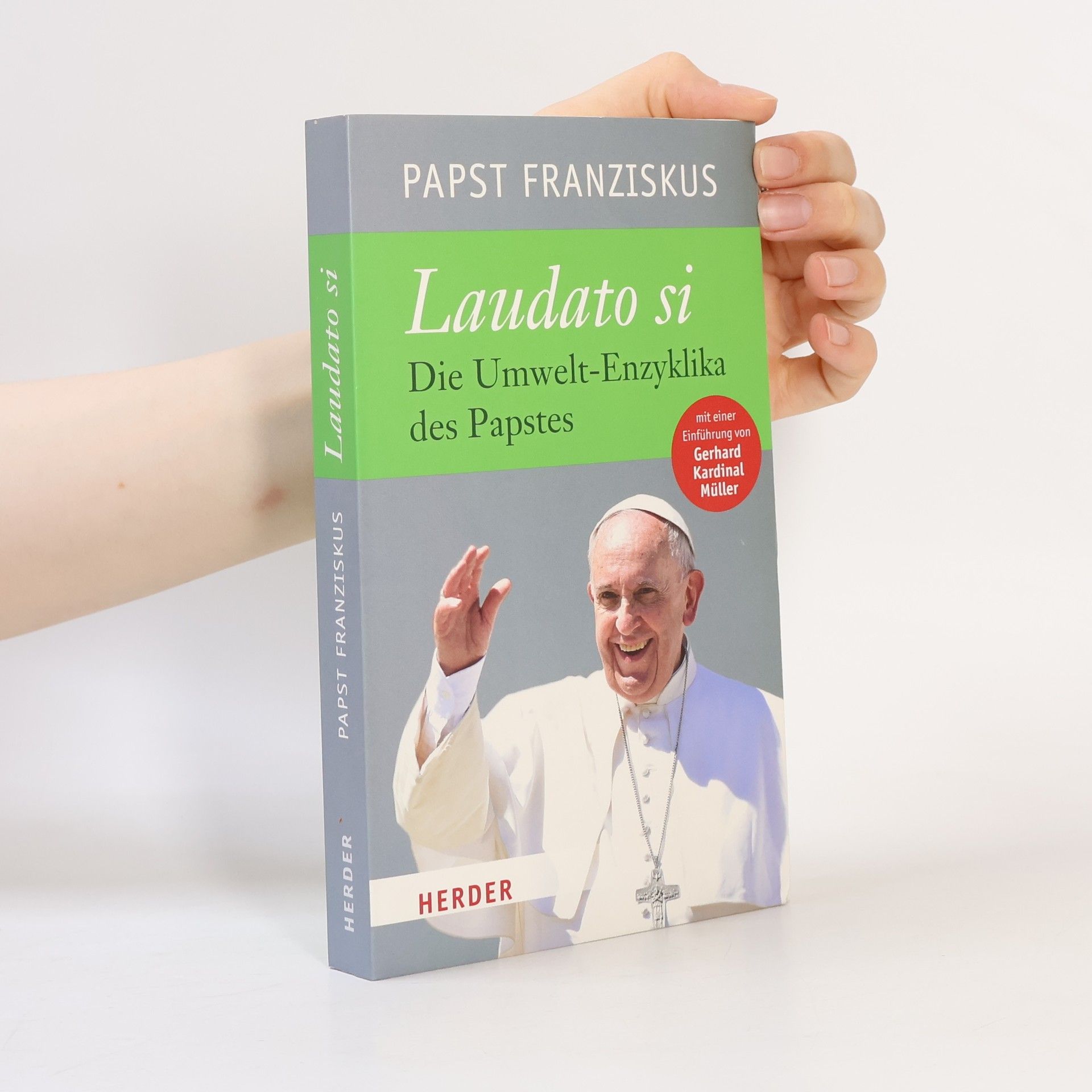 Papež František Die Enzyklika "Laudato si'"