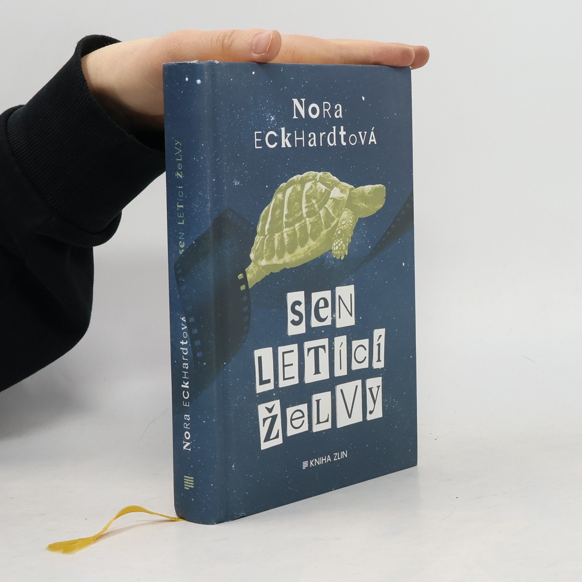 Nora Eckhardtová Sen letící želvy