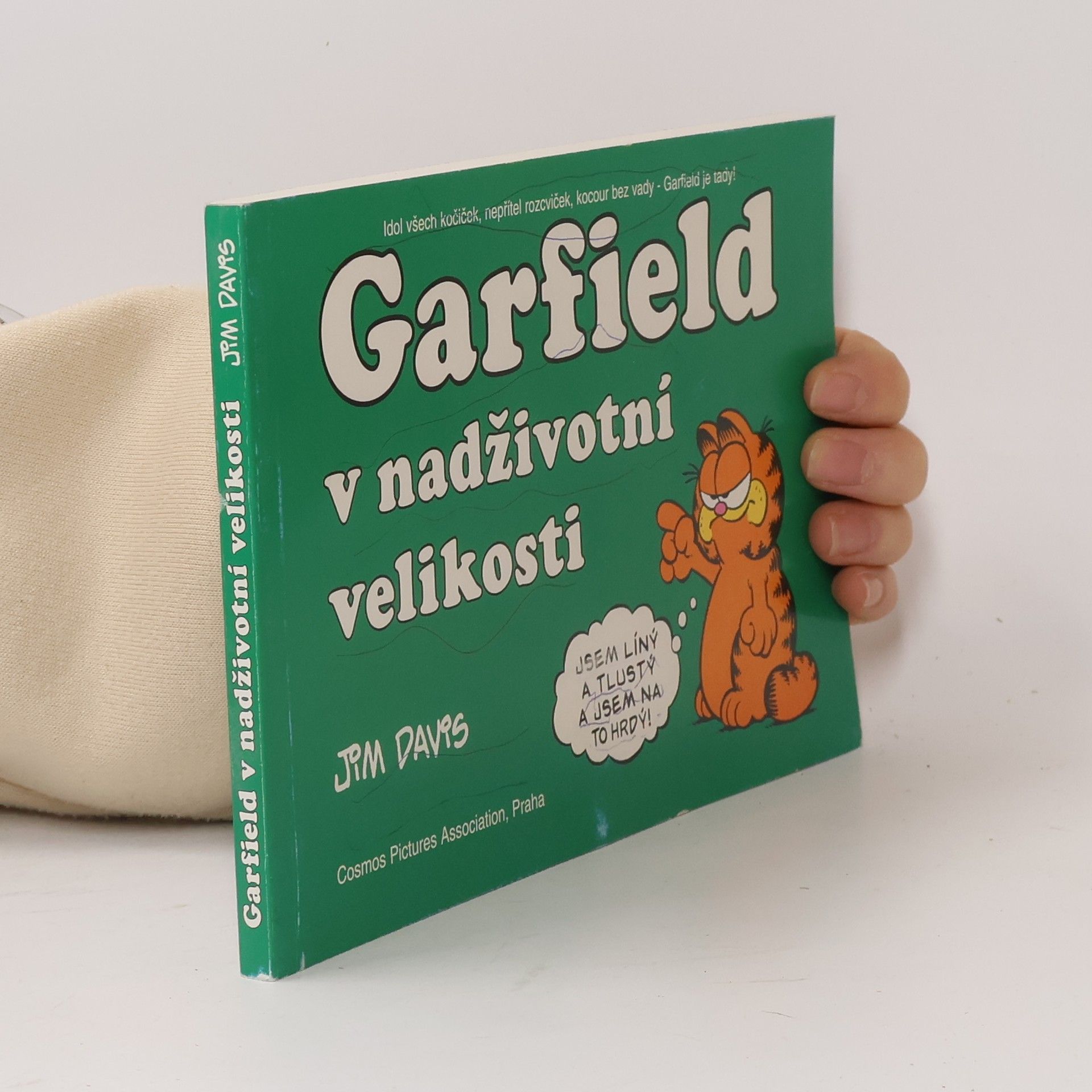 Jim Davis Garfield v nadživotní velikosti