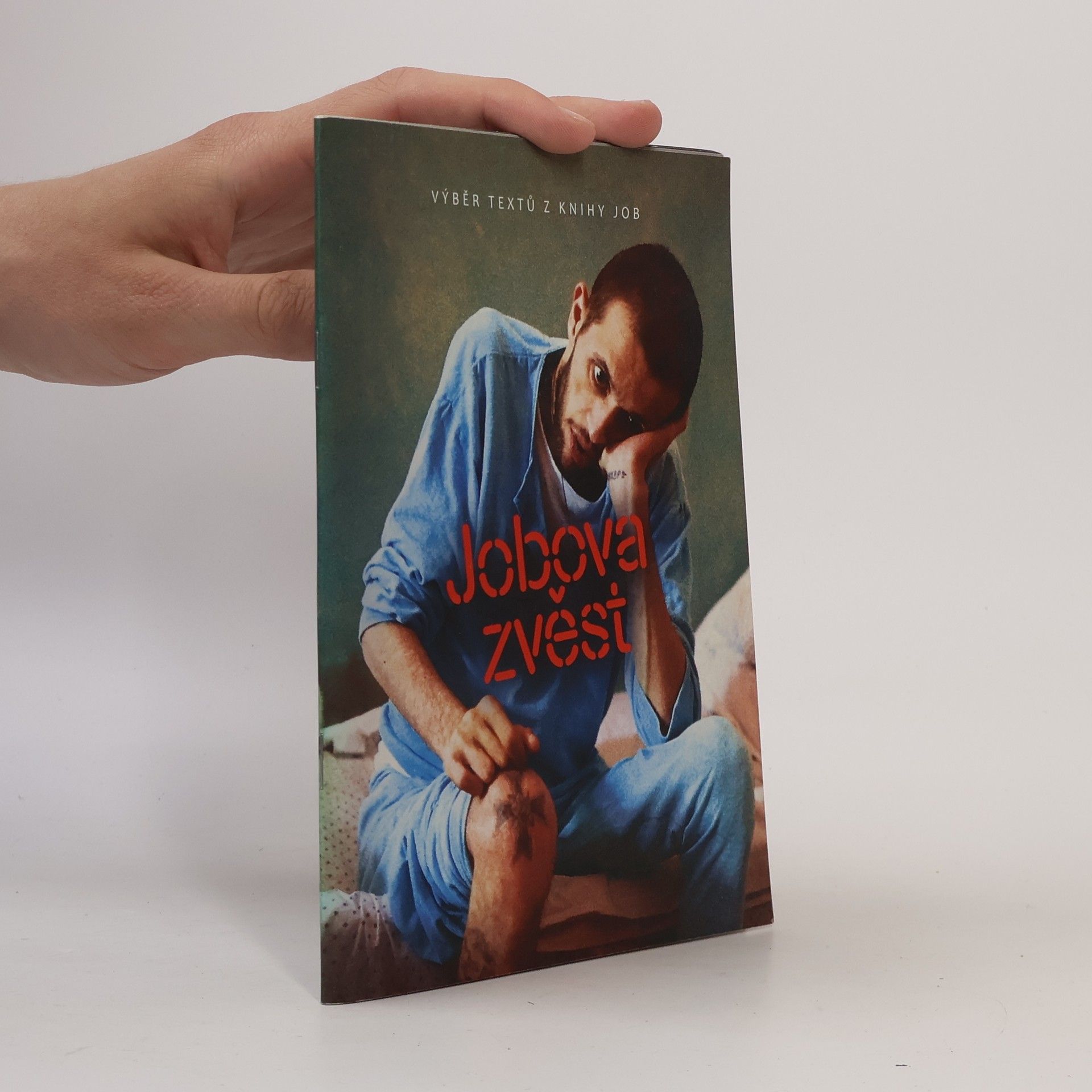 Alexandr Flek Jobova zvěst