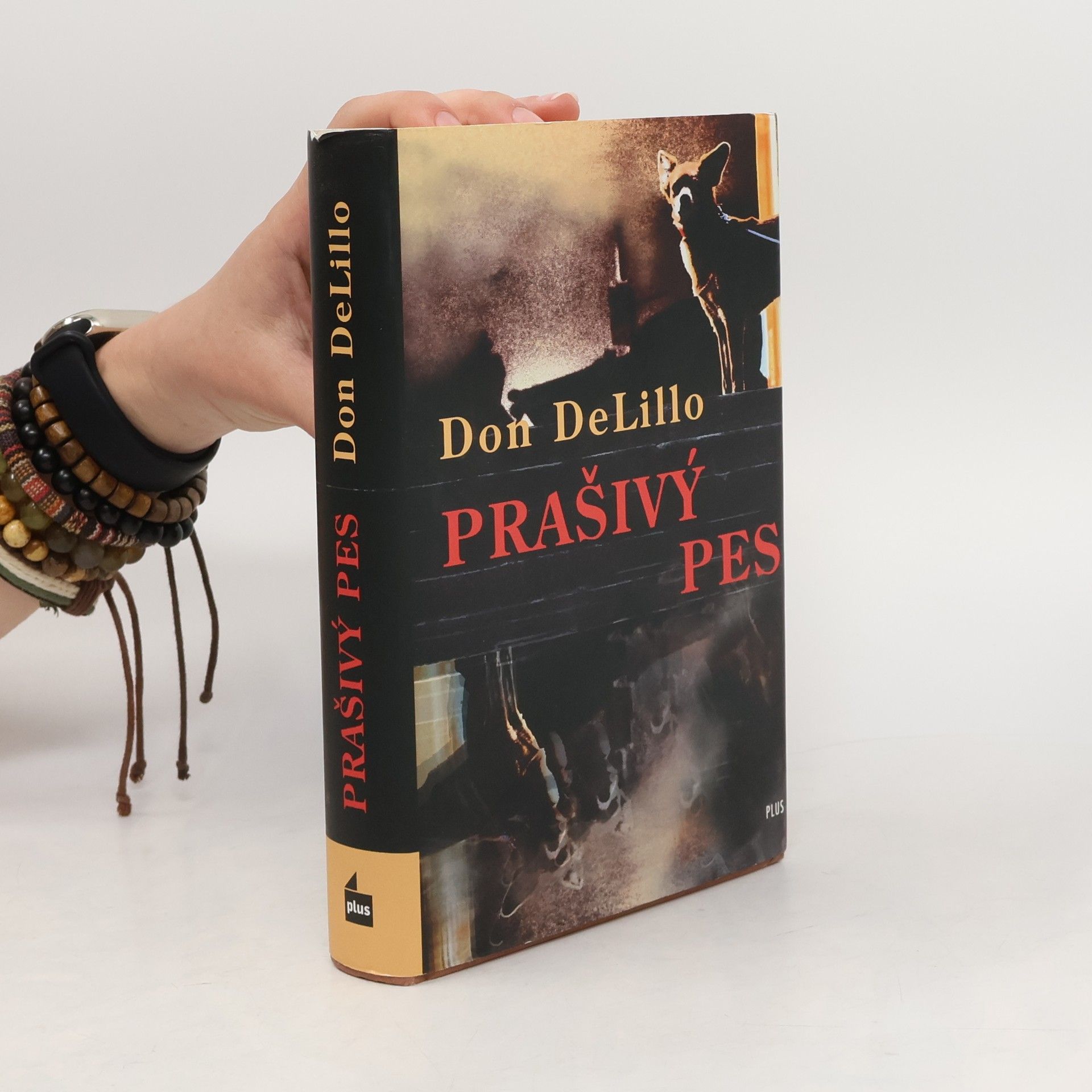 Don DeLillo Prašivý pes