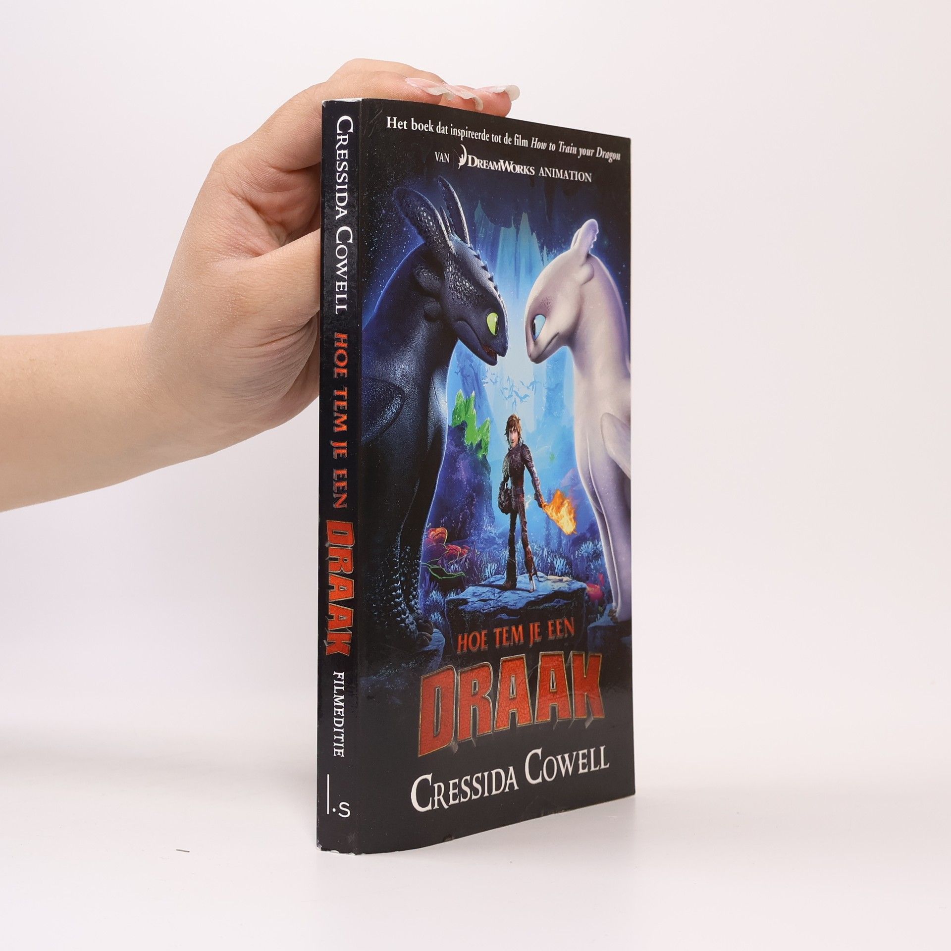 Cressida Cowell Hoe tem je een draak