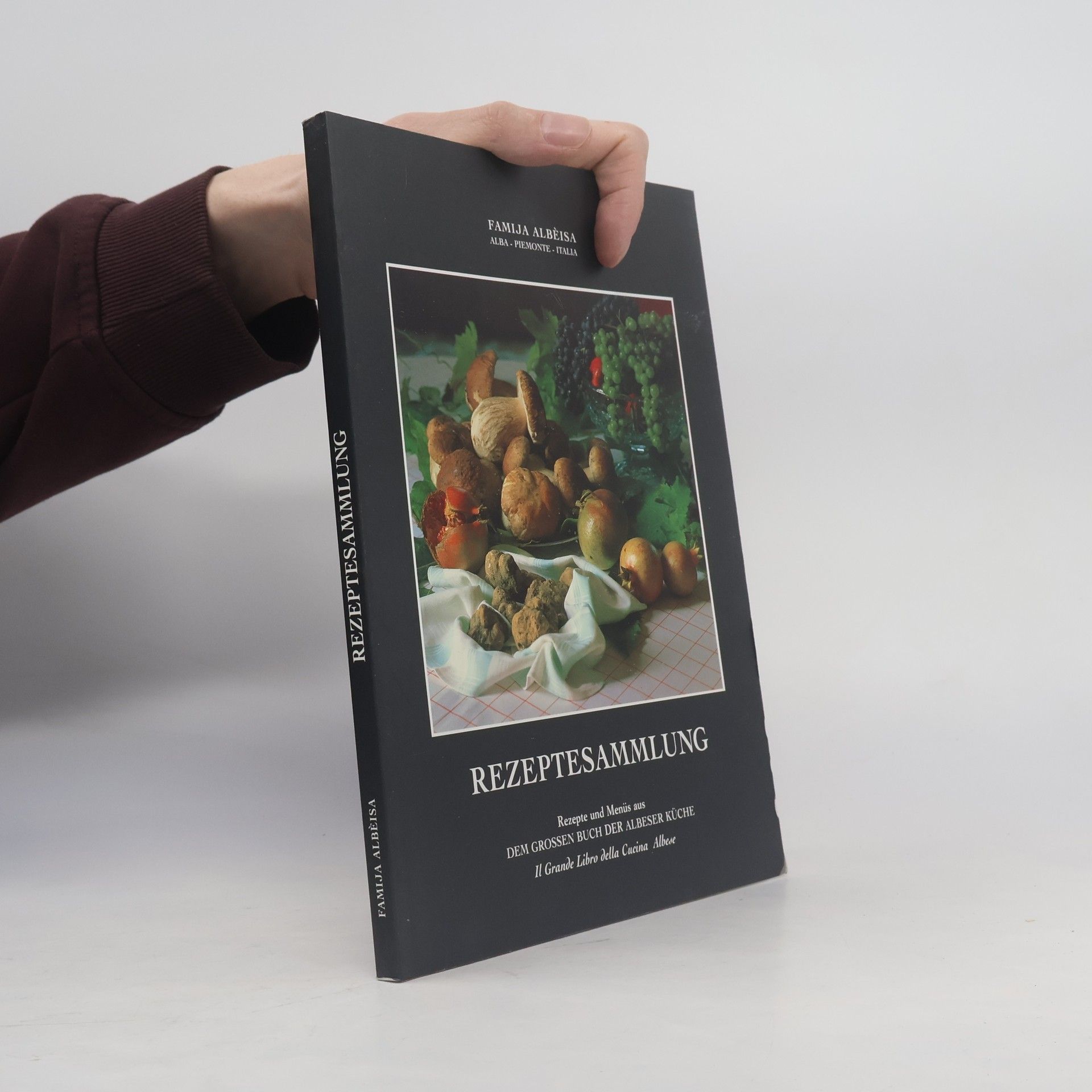 Kolektív autorov Rezeptesammlung