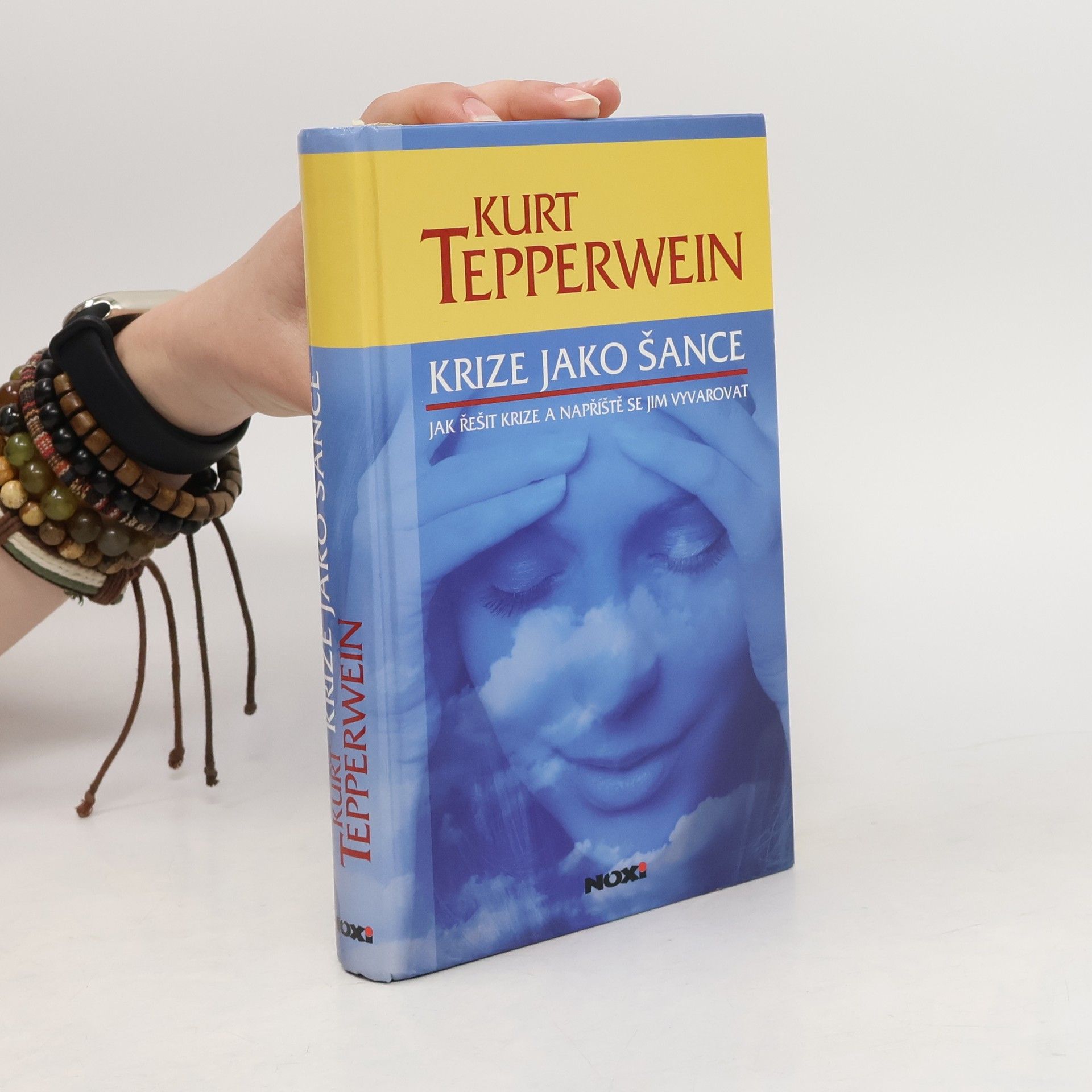 Krize jako šance