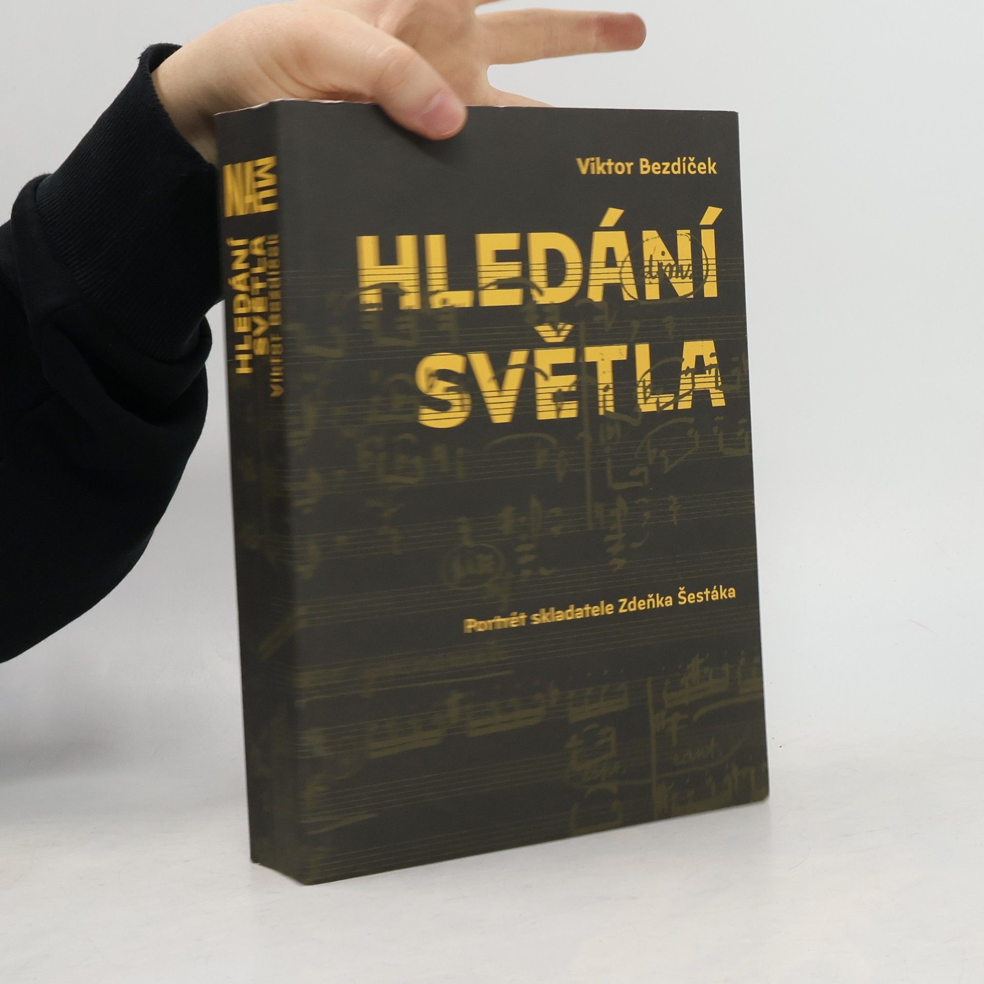Viktor Bezdíček Hledání světla