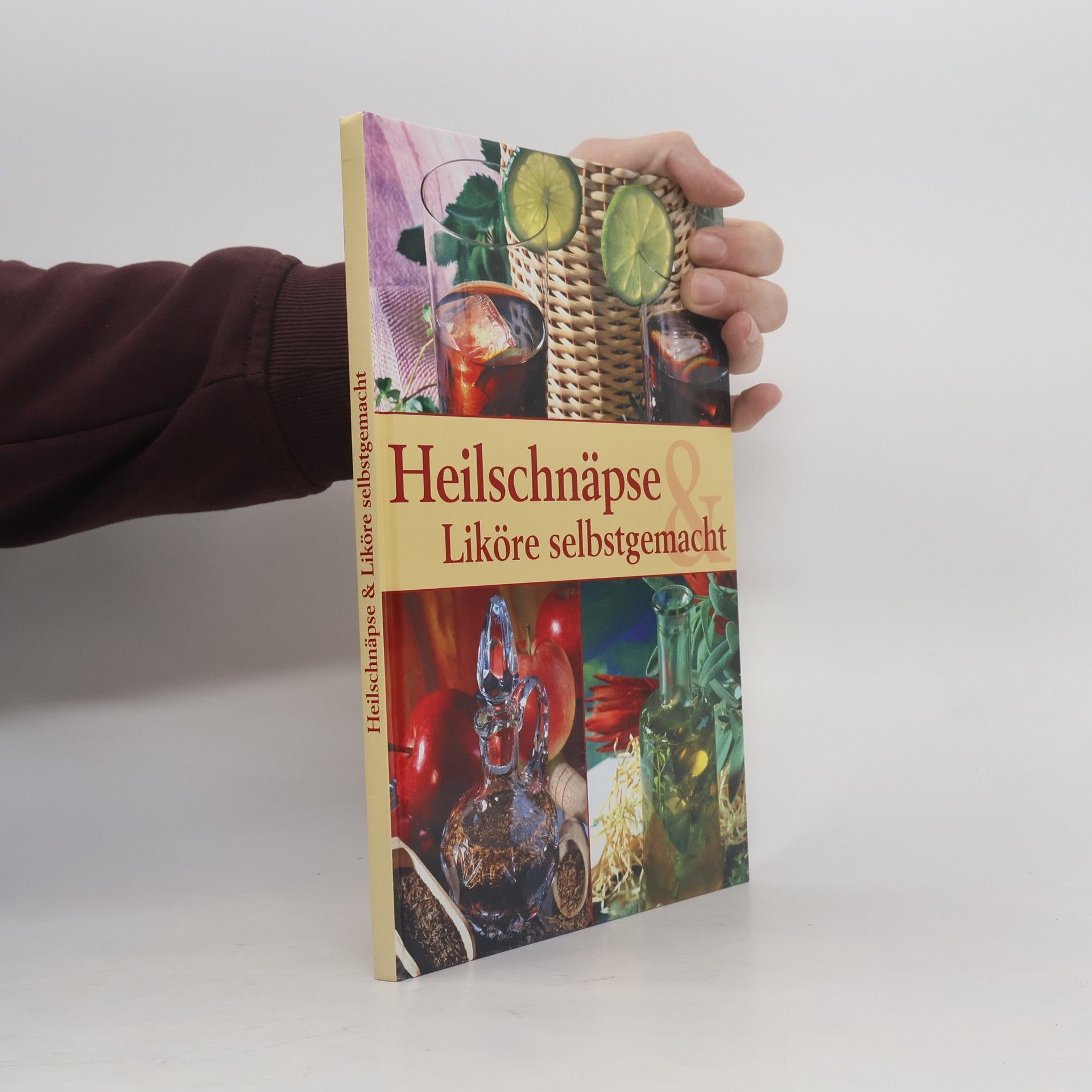 Kolektiv autorů Heilschnäpse Liköre selbstgemacht