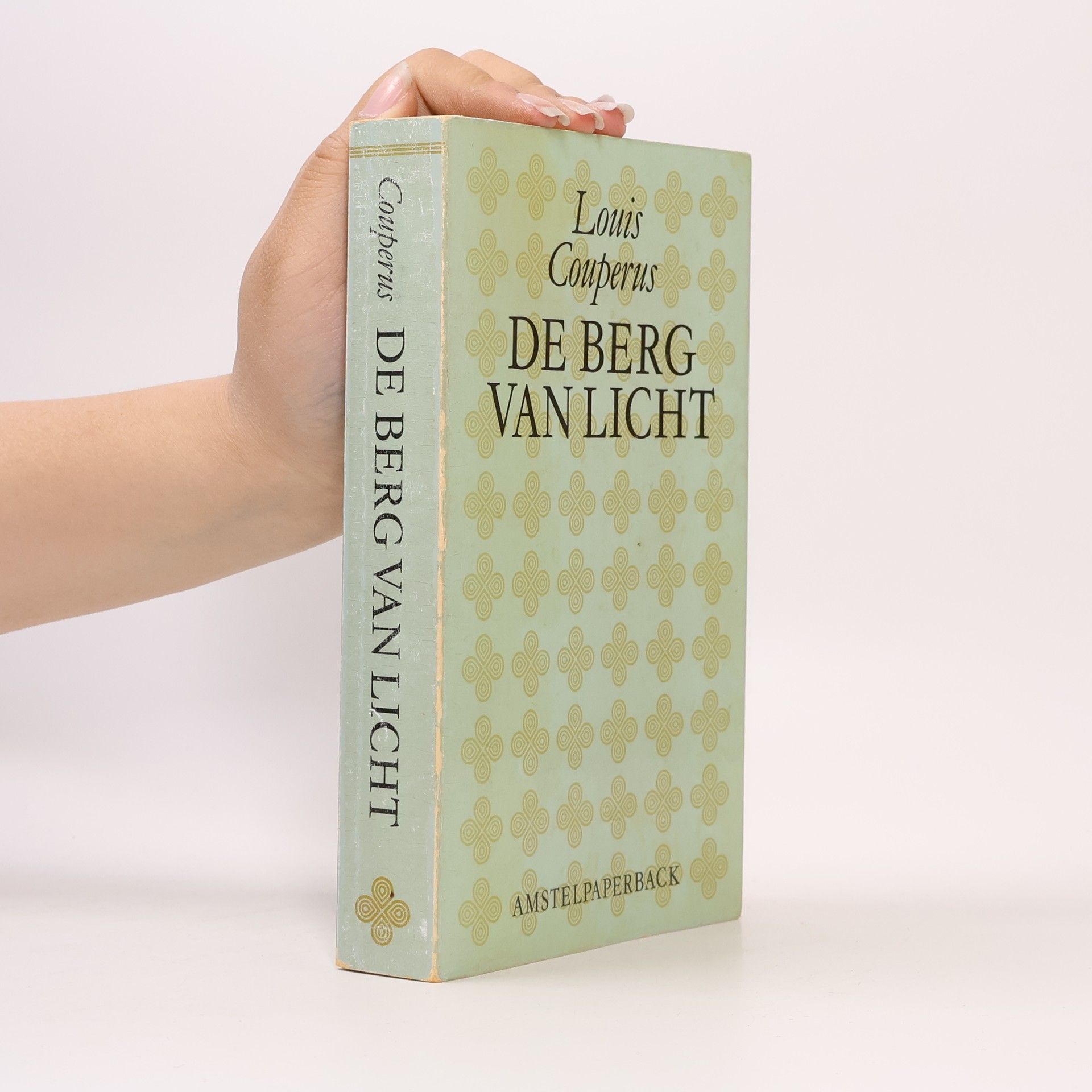 De berg van licht