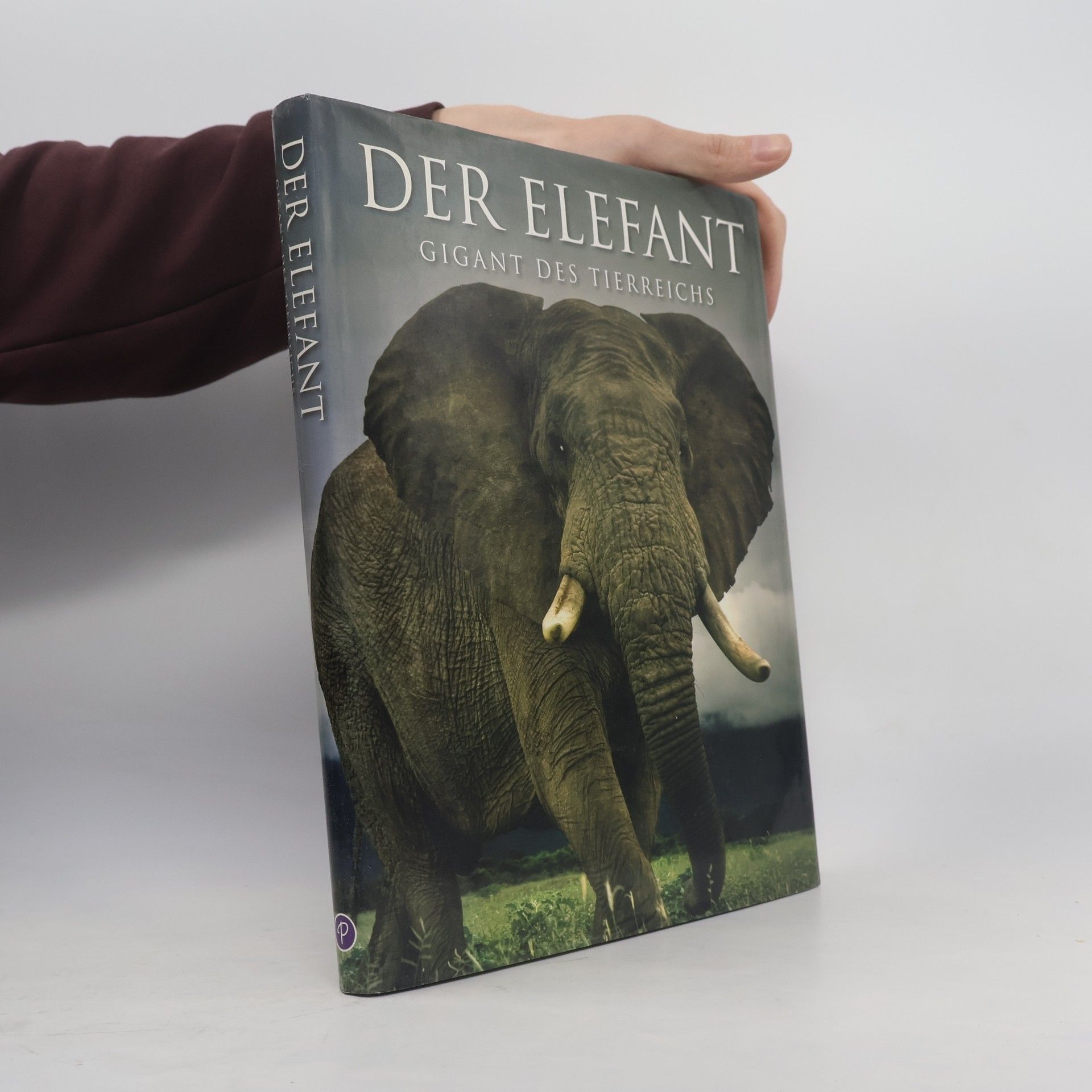 Gill Davies Der Elefant