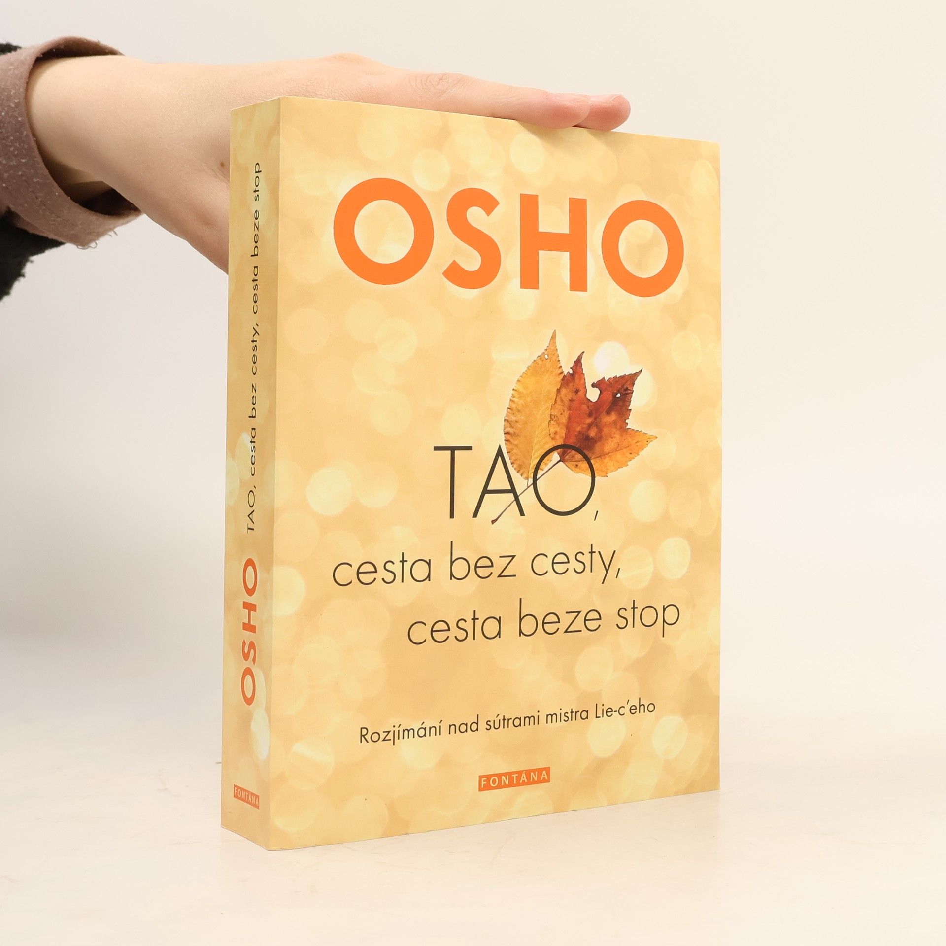 Daiana Krhutová Tao, cesta bez cesty, cesta beze stop
