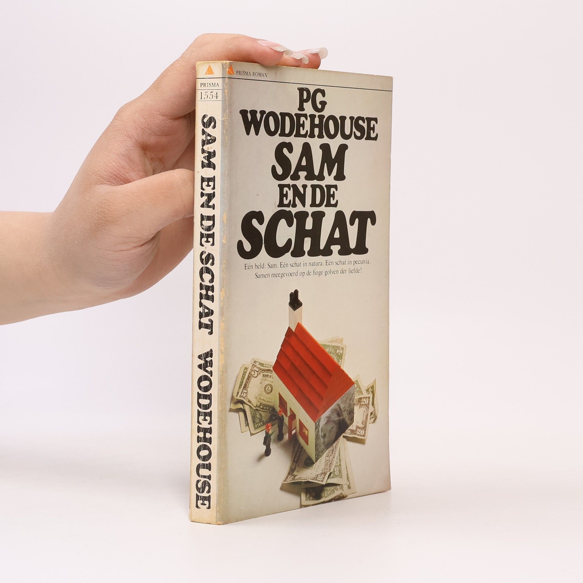 Pelham Wodehouse Sam en de schat