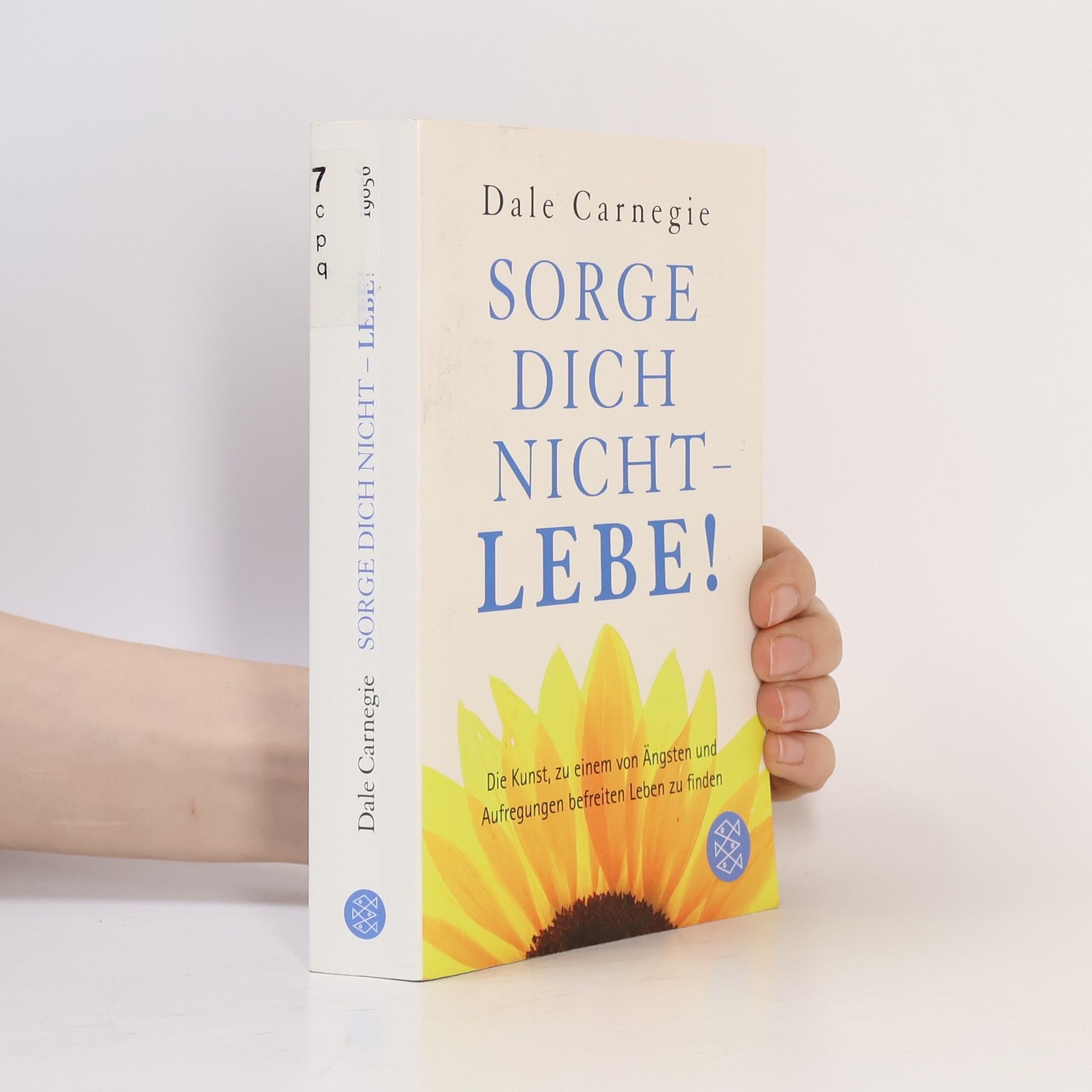 Dale Carnegie Sorge dich nicht - lebe!
