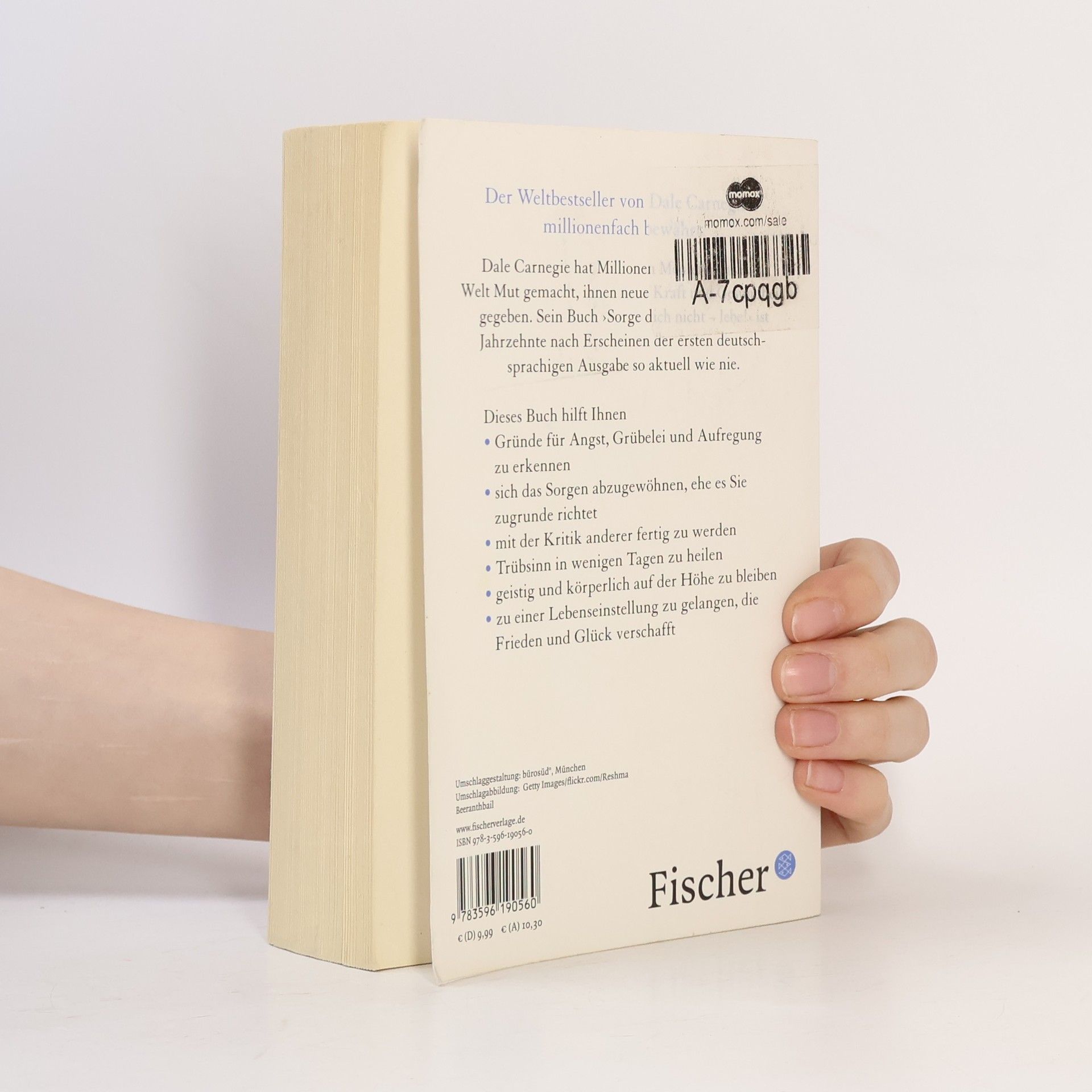 Dale Carnegie Sorge dich nicht - lebe!