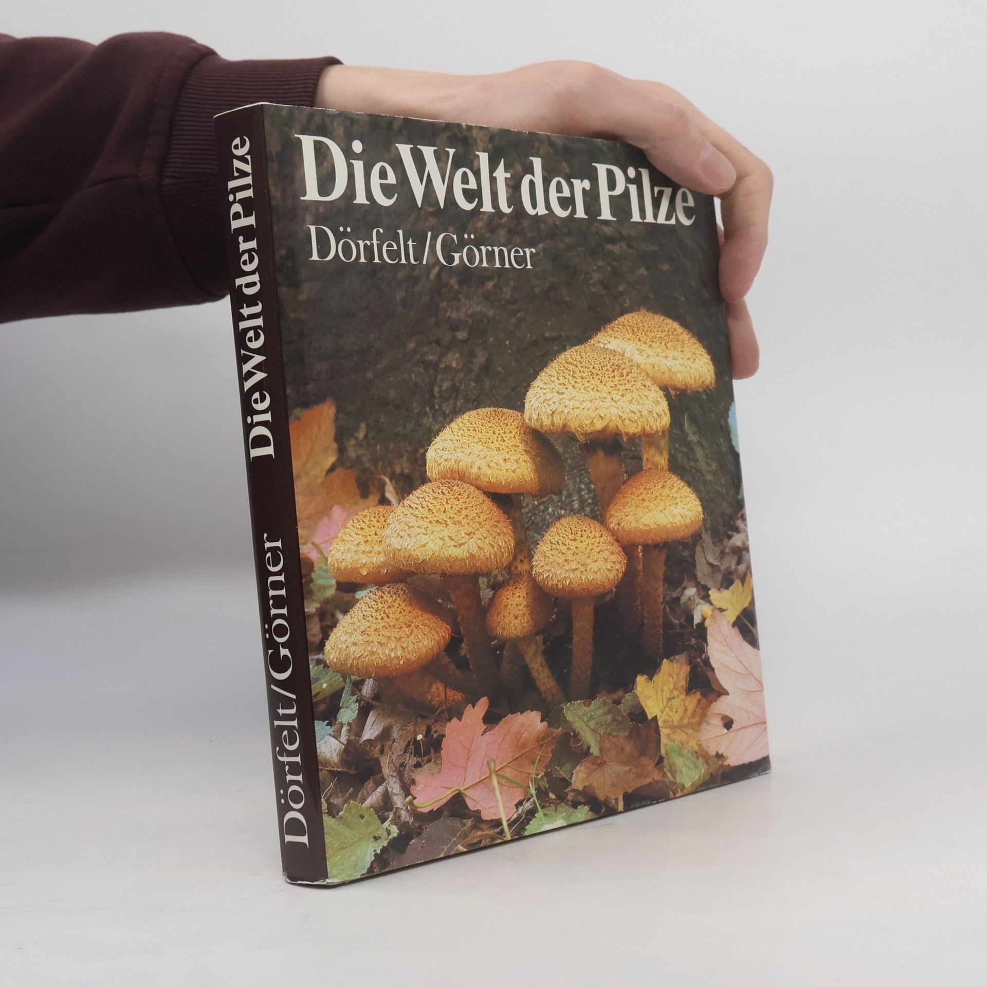 Heinrich Dörfelt Die Welt der Pilze