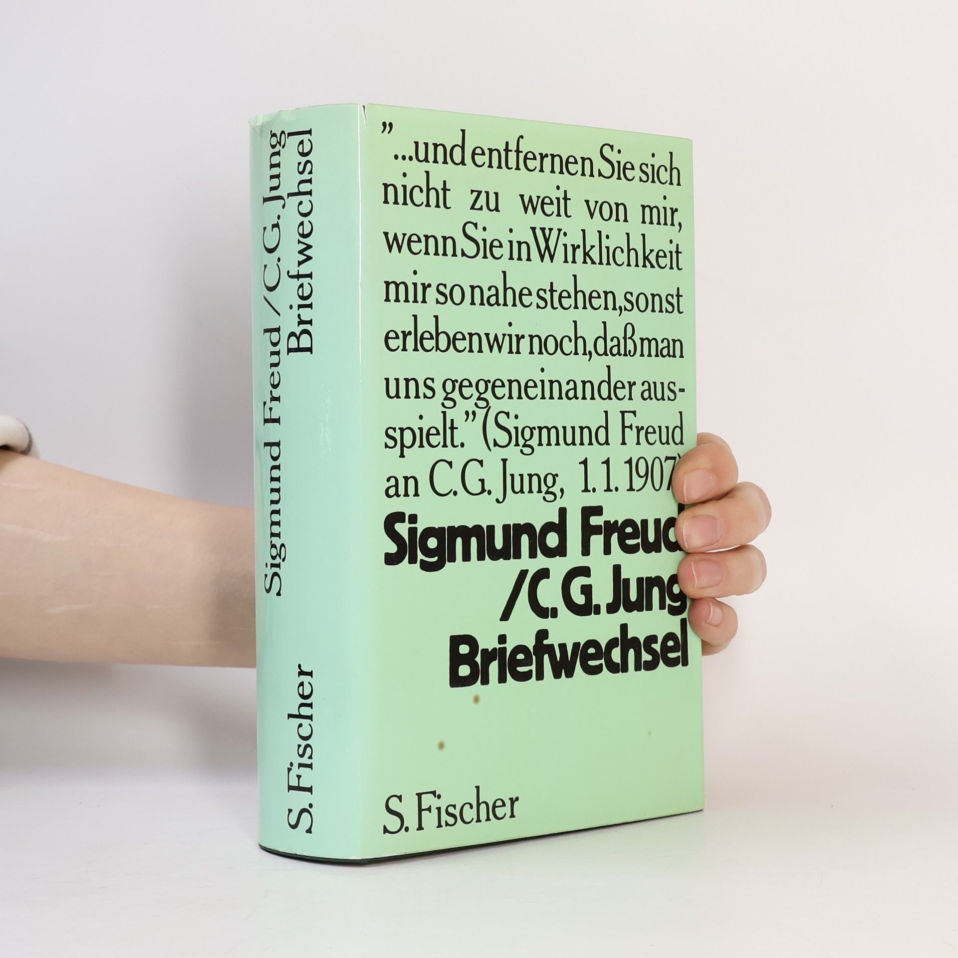 Carl Jung Briefwechsel
