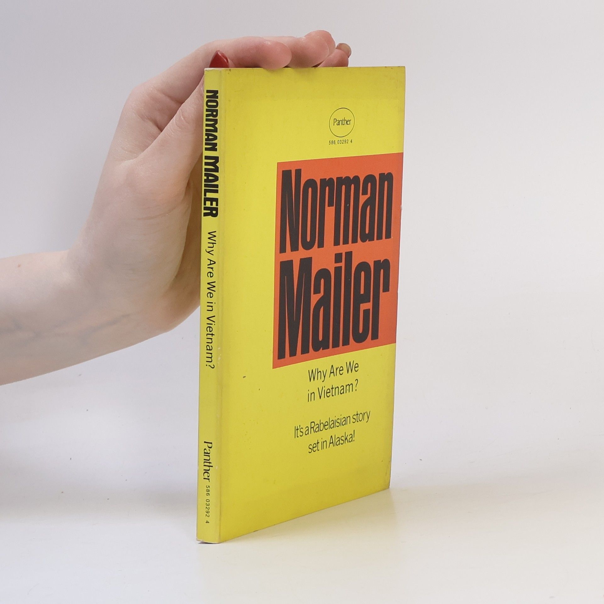 Norman Mailer Why are We in Vietnam?