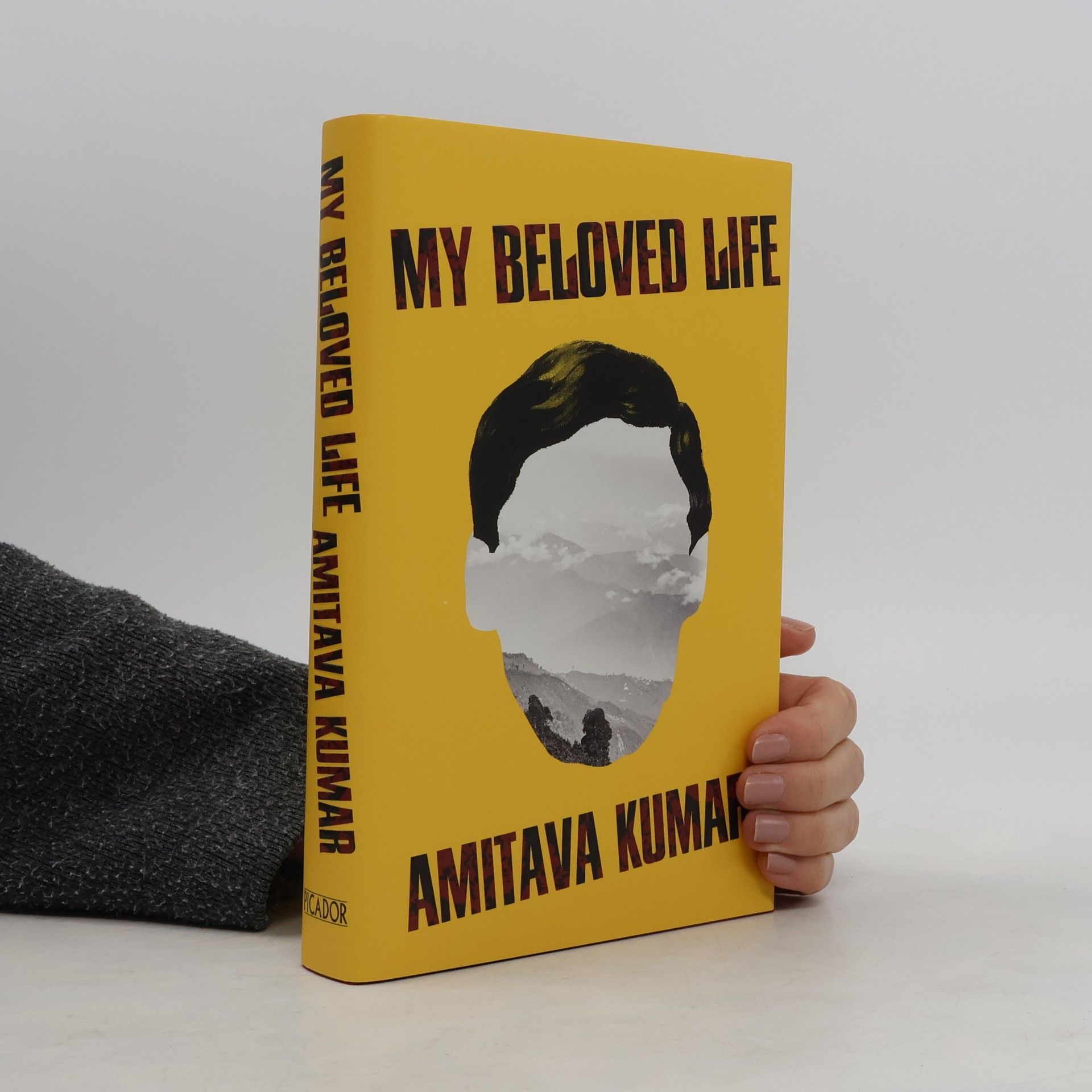 Amitava Kumar My Beloved Life
