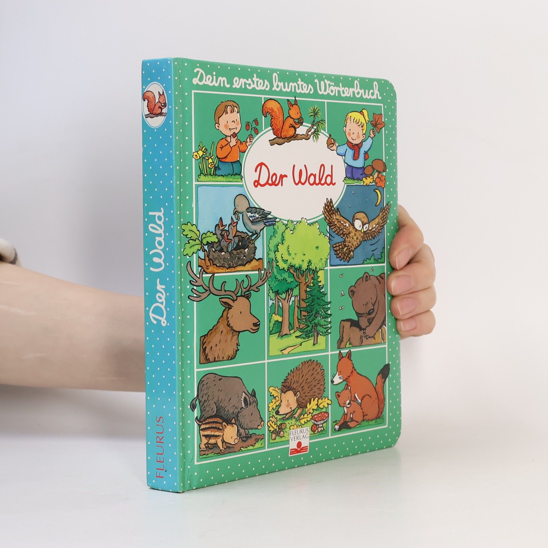 Elena Wassmann Dein erstes buntes Wörterbuch