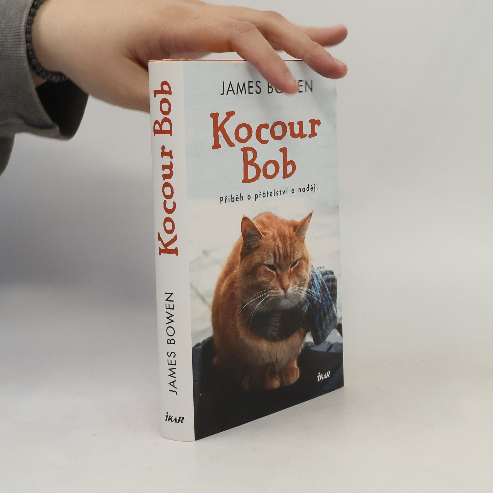 James Bowen Kocour Bob