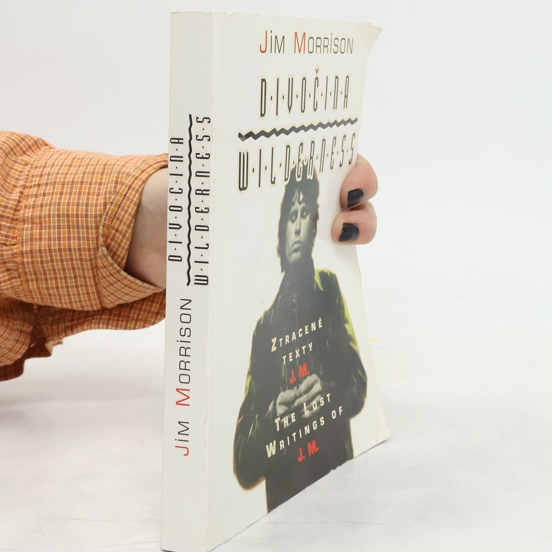 Jim Morrison Divočina. Wilderness