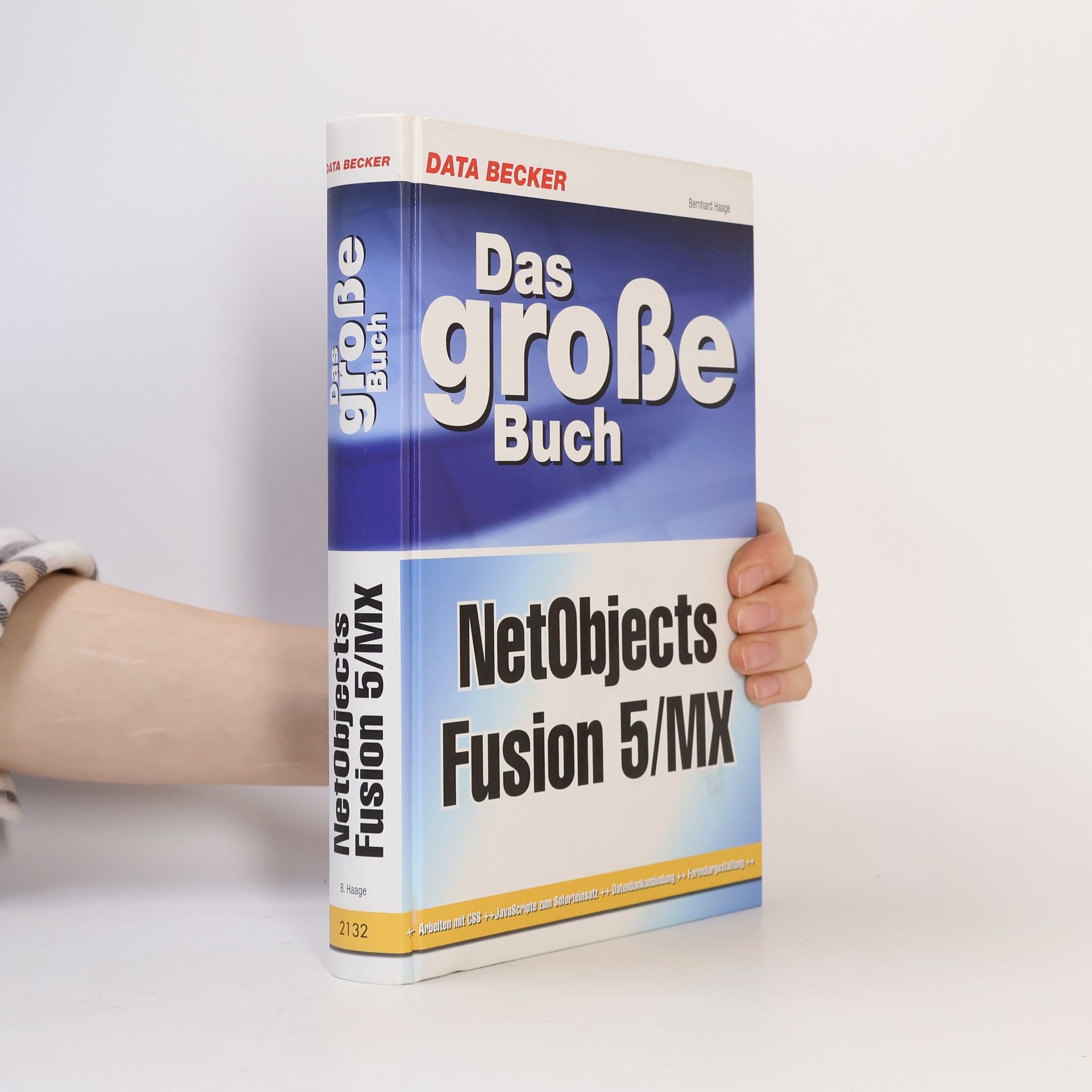 Bernhard Haage Das große Buch NetObjects Fusion 5/MX