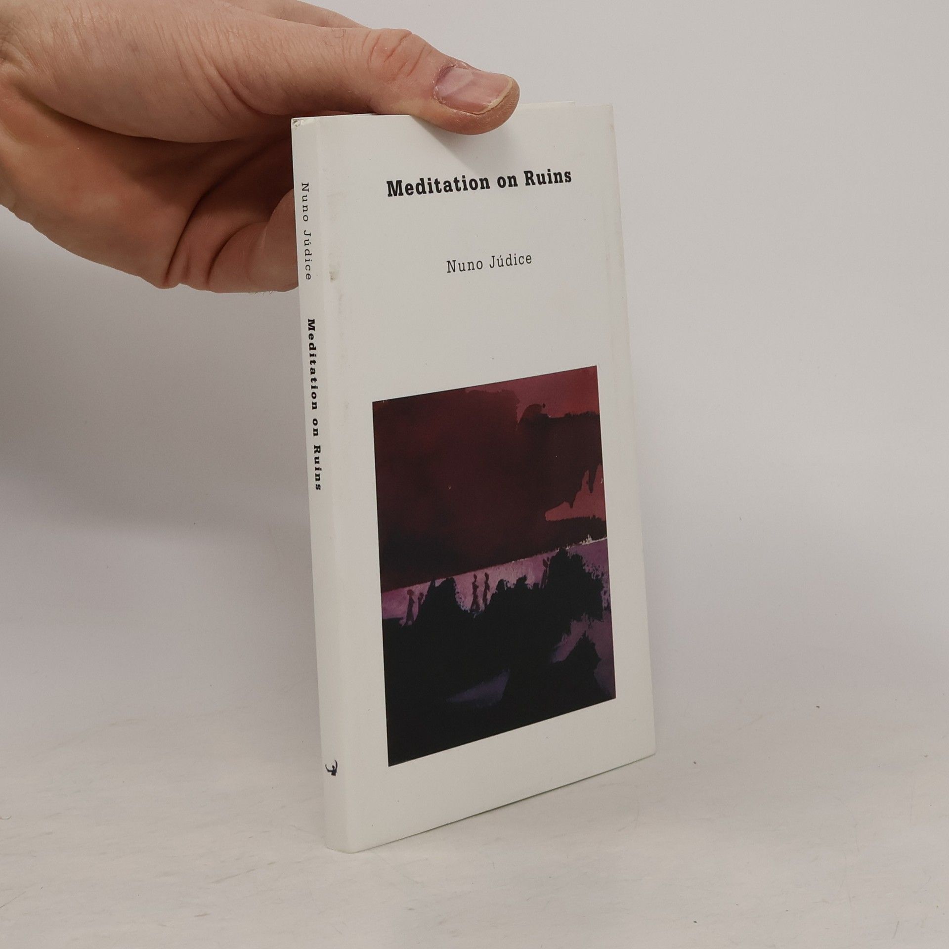 Richard Zenith Meditation on ruins