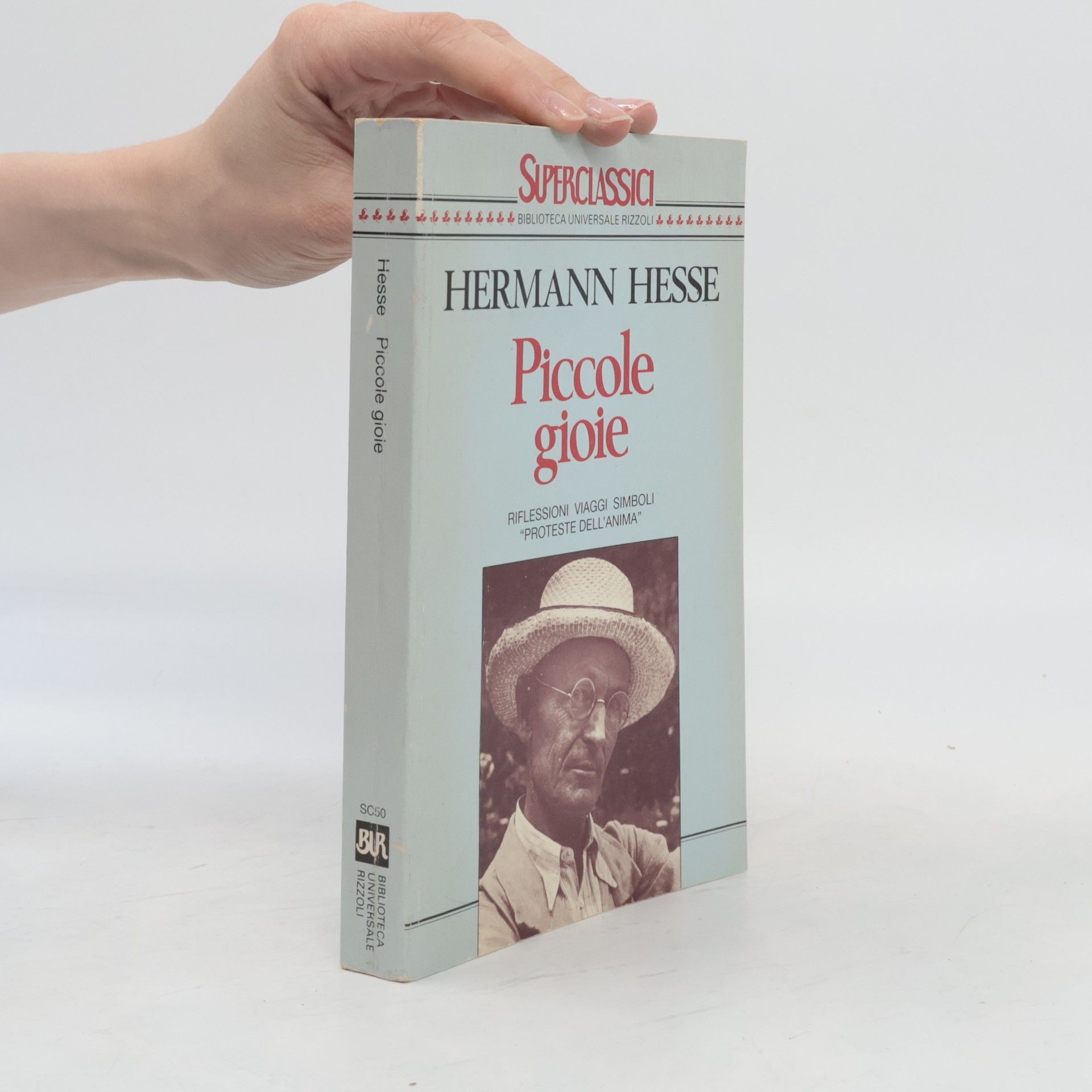 Hermann Hesse Piccole gioie