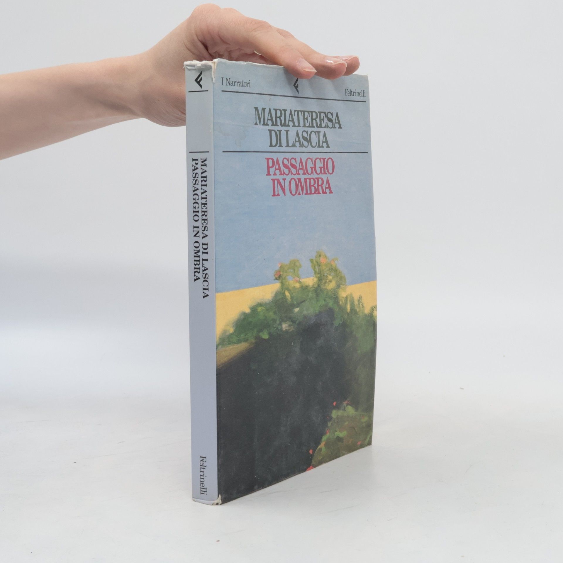 Mariateresa Di Lascia Passaggio in ombra