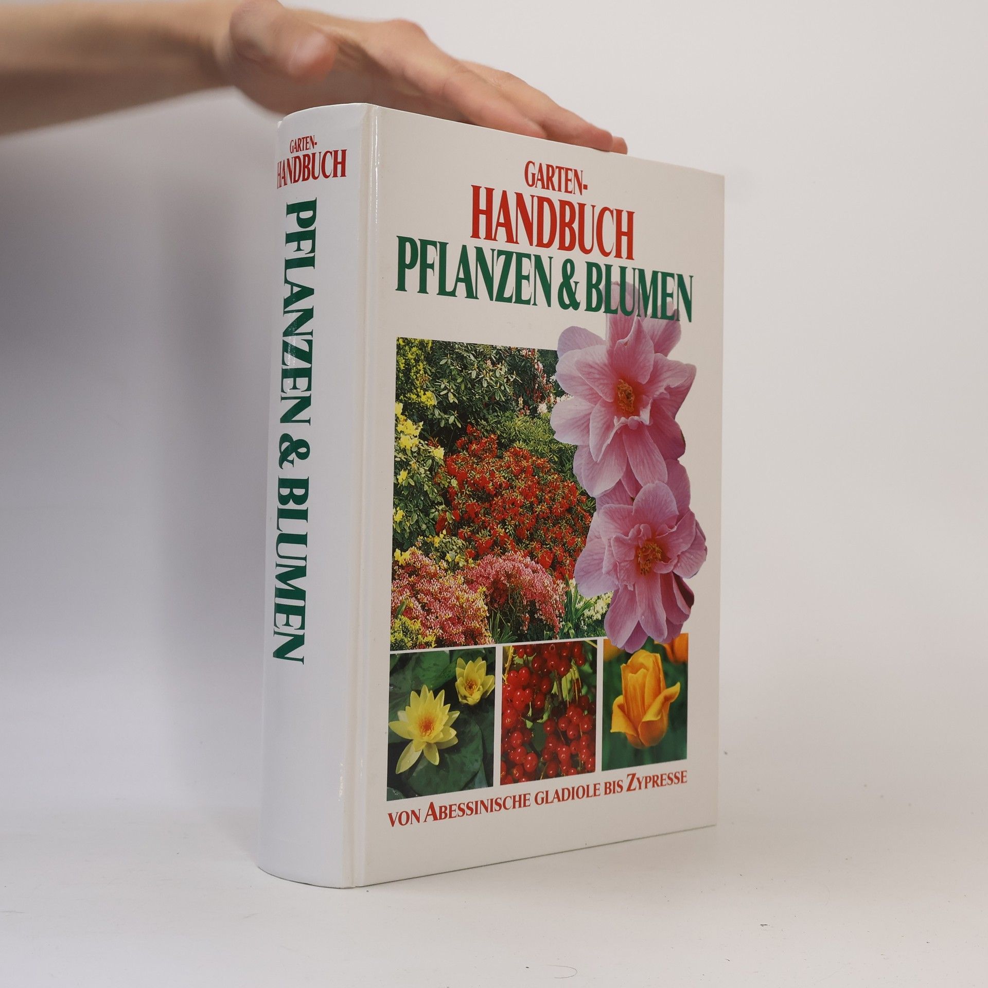 Autorenkollektiv Garten-Handbuch Pflanzen & Blumen