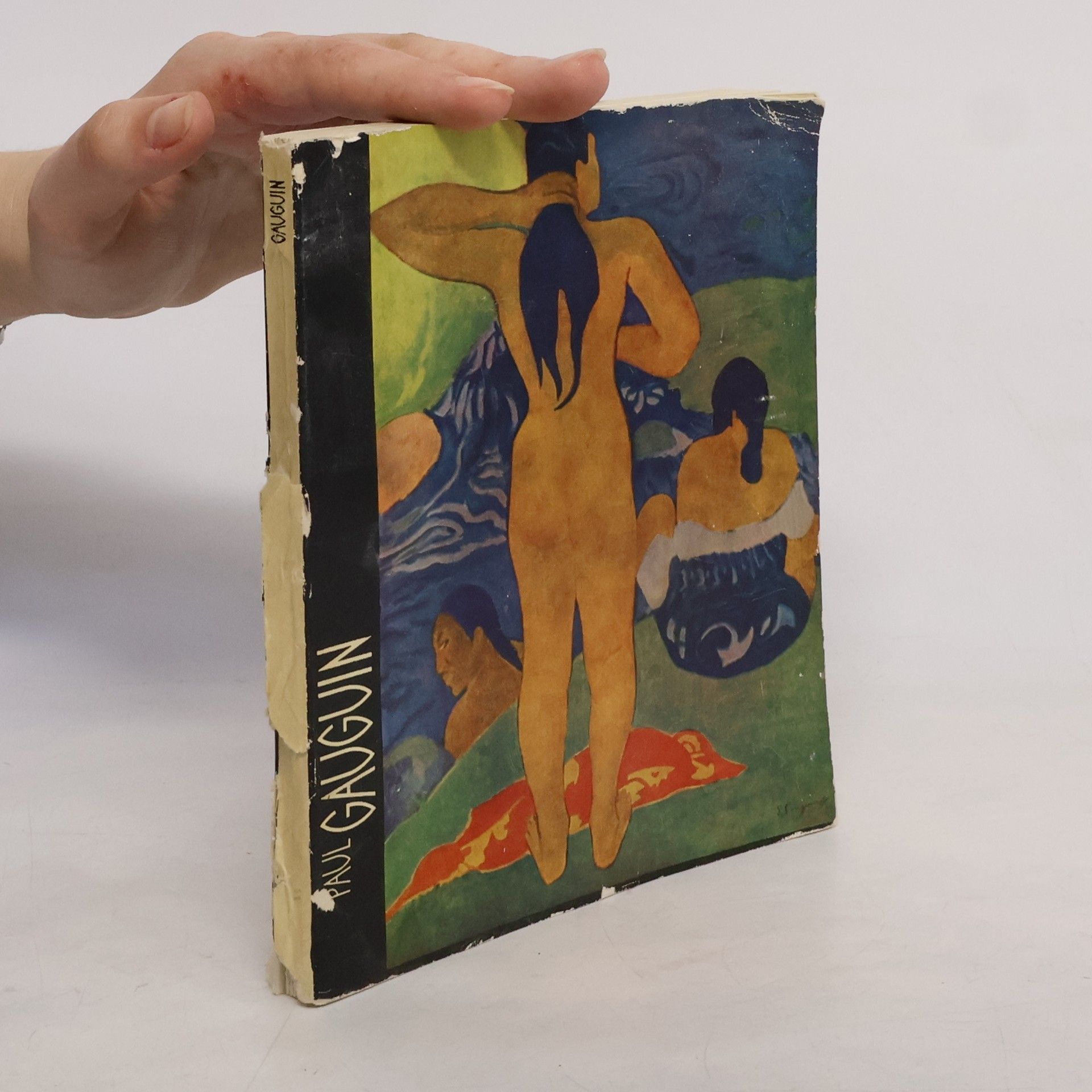 Paul Gauguin Paul Gauguin