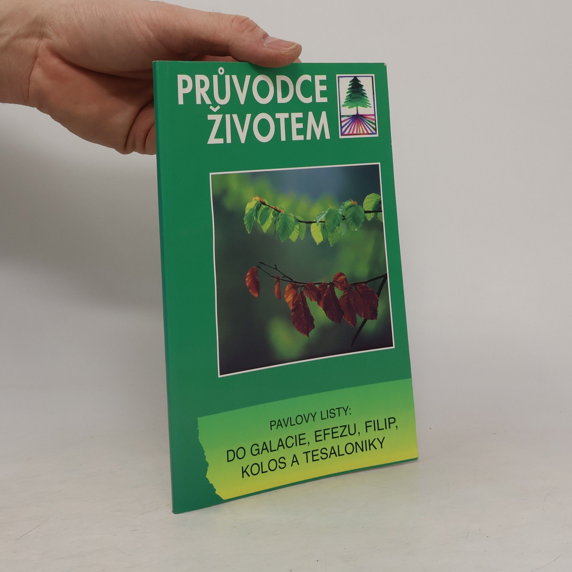 Auteurscollectief Pavlovy listy do Galacie, Efezu, Filip, Kolos a Tesaloniky