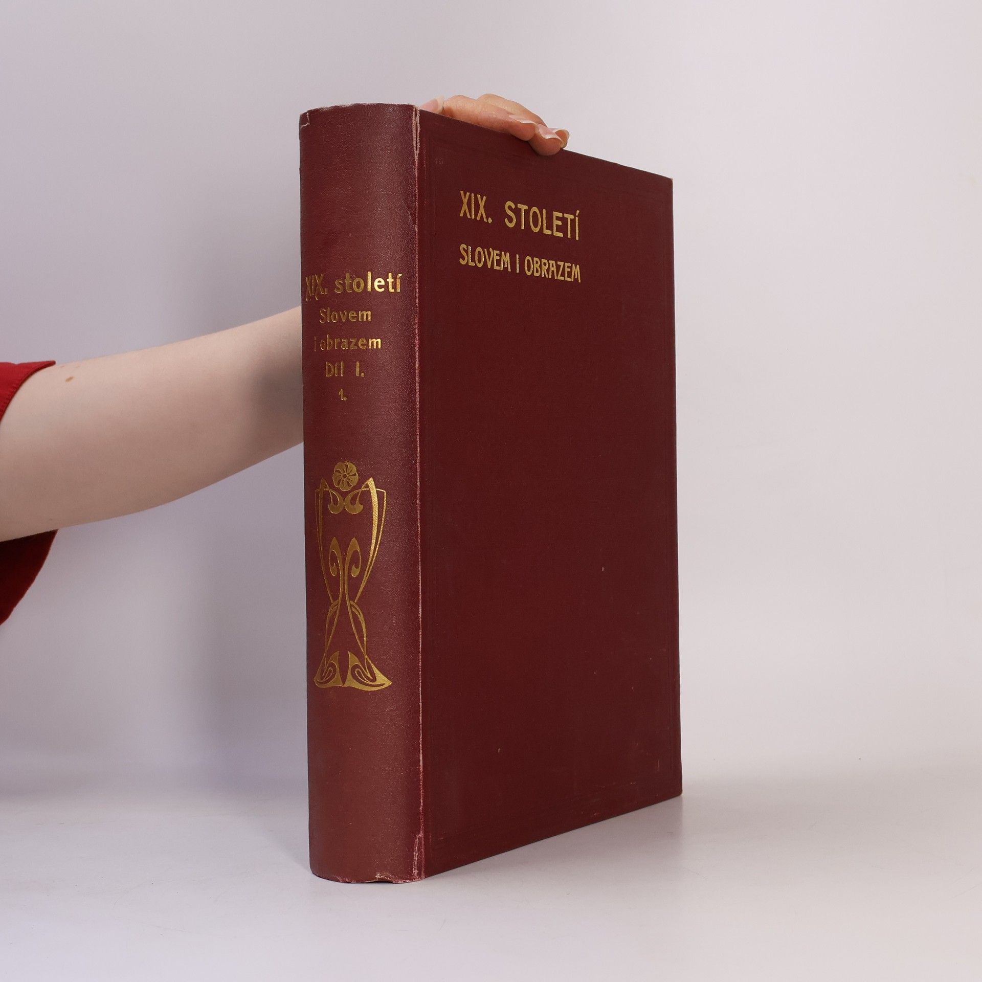 Autorenkollektiv Devatenácté století slovem i obrazem. Díl I.