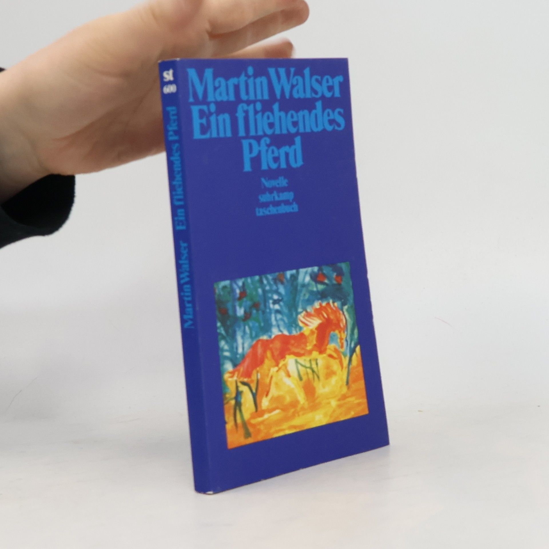 Martin Johannes Walser Ein fliehendes Pferd